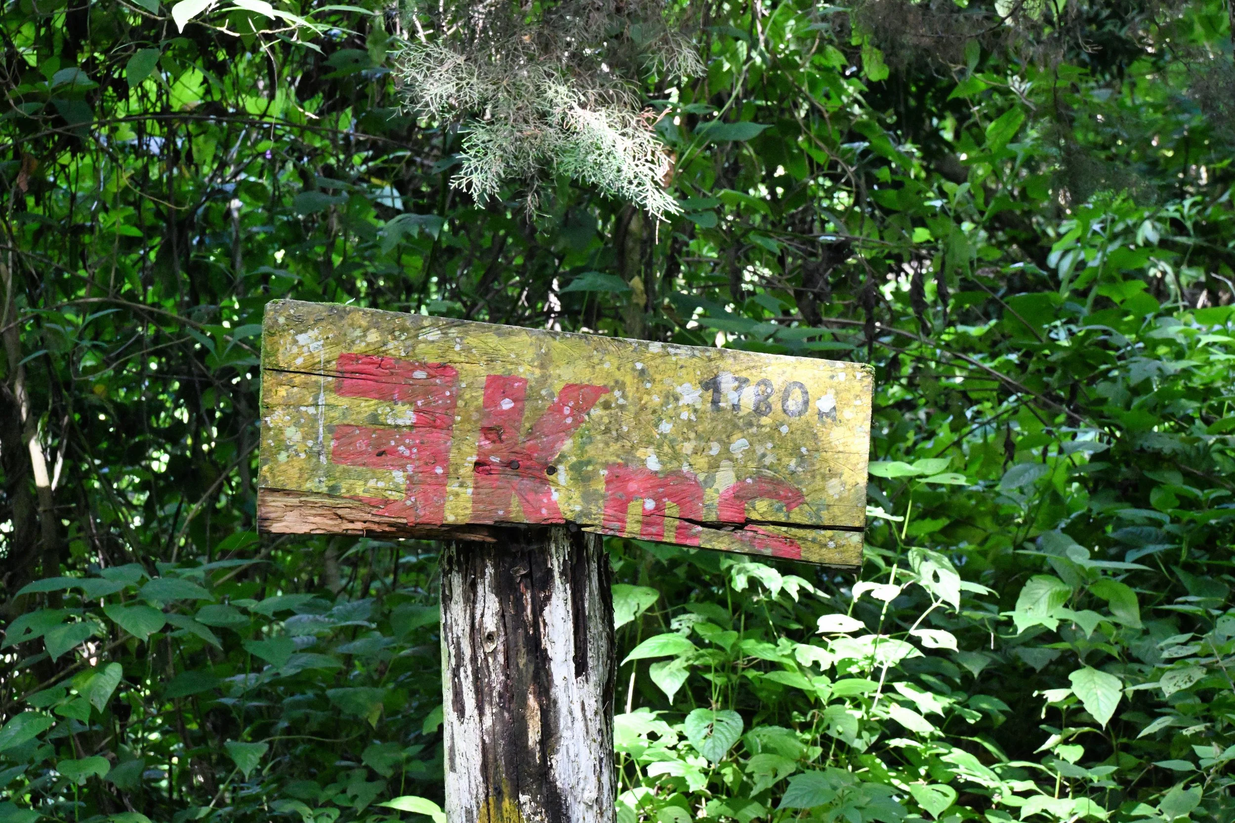 teasing me ... 5+ km to go to the top