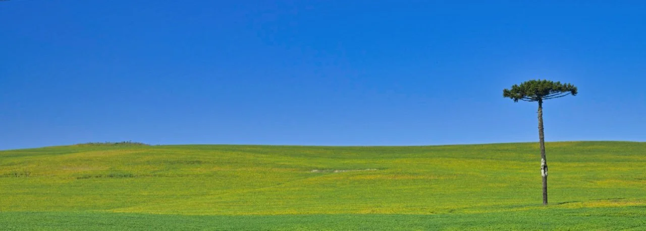  trying to be creative