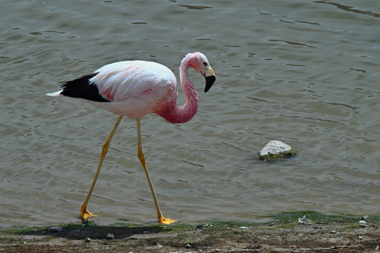 Looks like she's sleepwalking