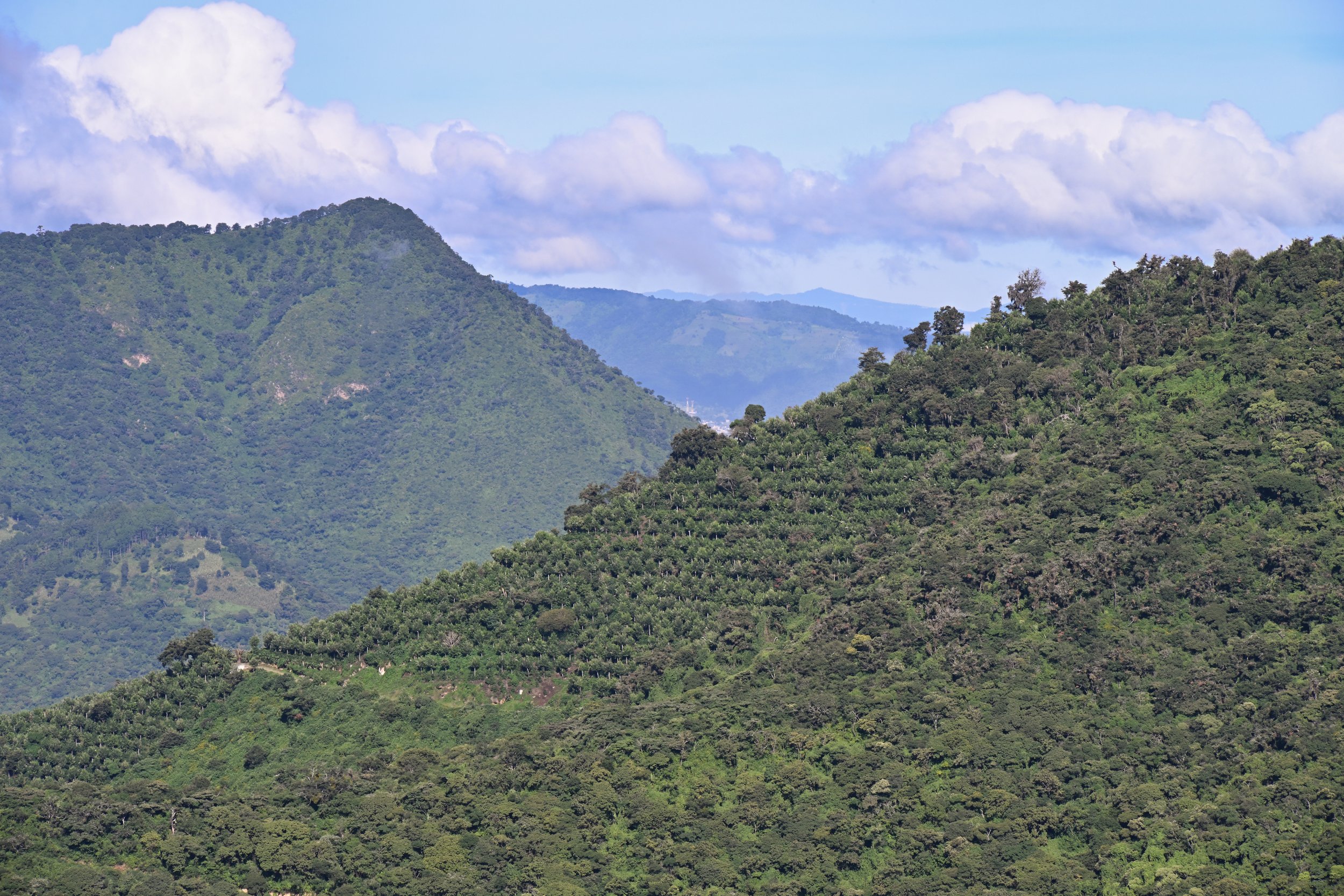 that is about 2,500m elevation