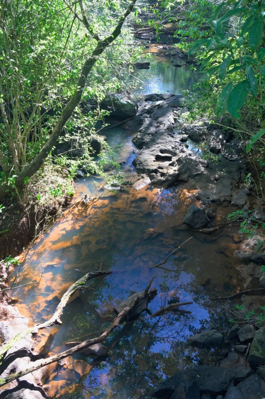  some places are completely dry.