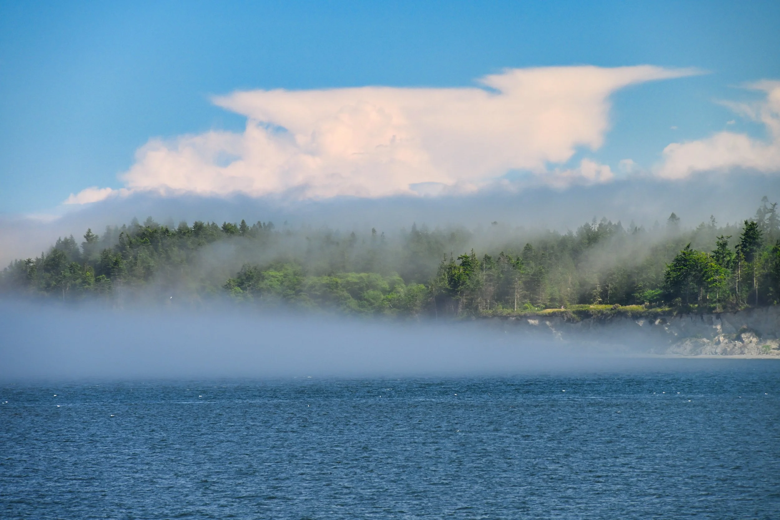 marine fog makes nice pictures