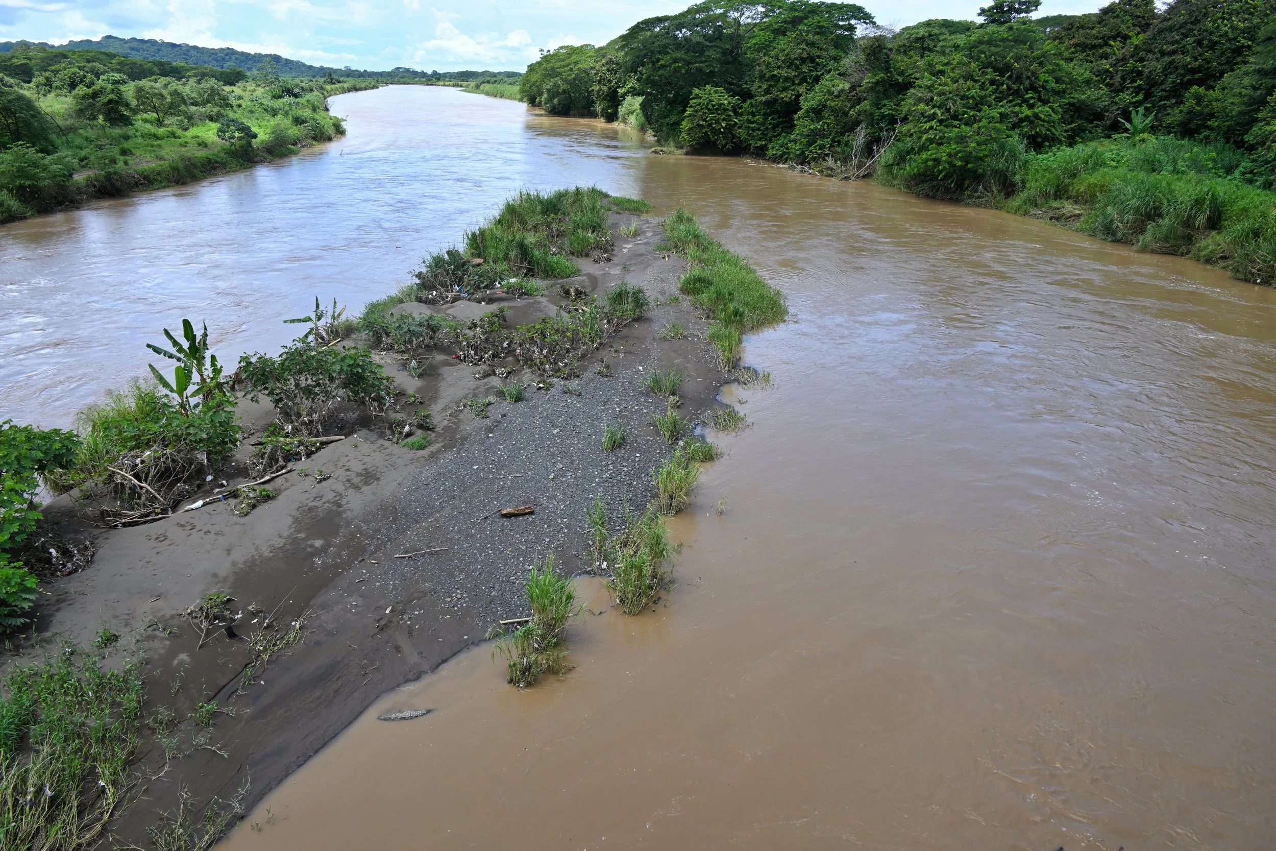 I won't be swimming here