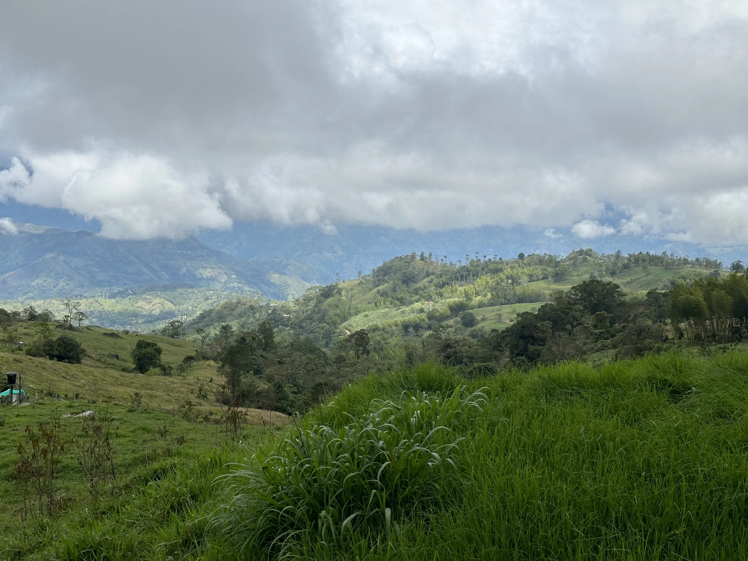 beautiful countryside