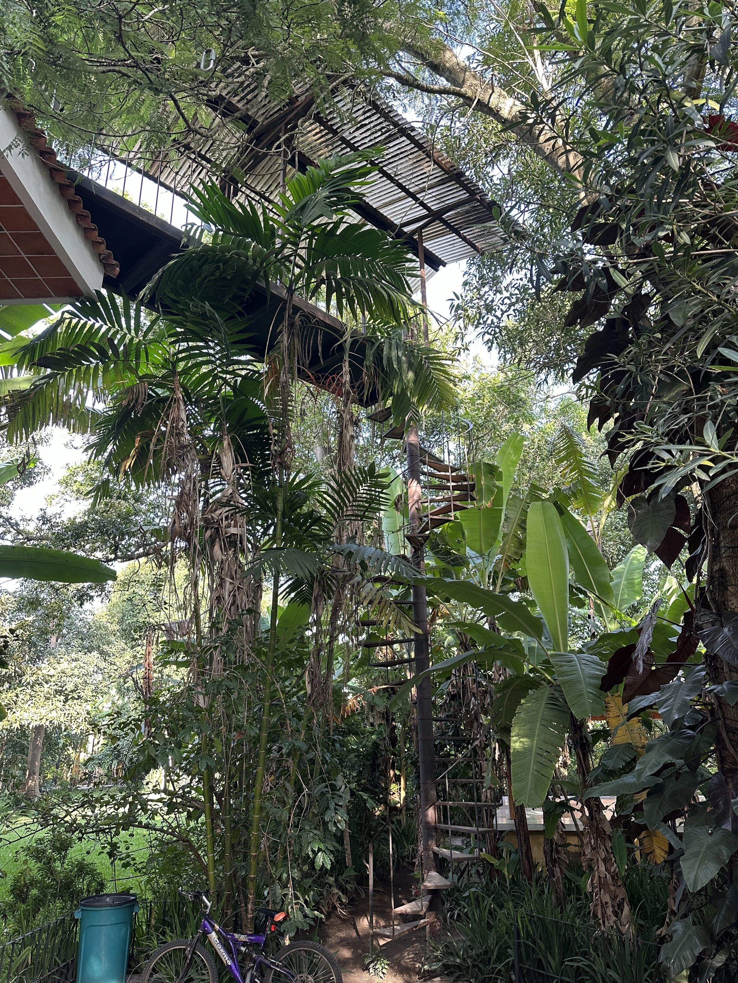 "skywalk" leading to the roof