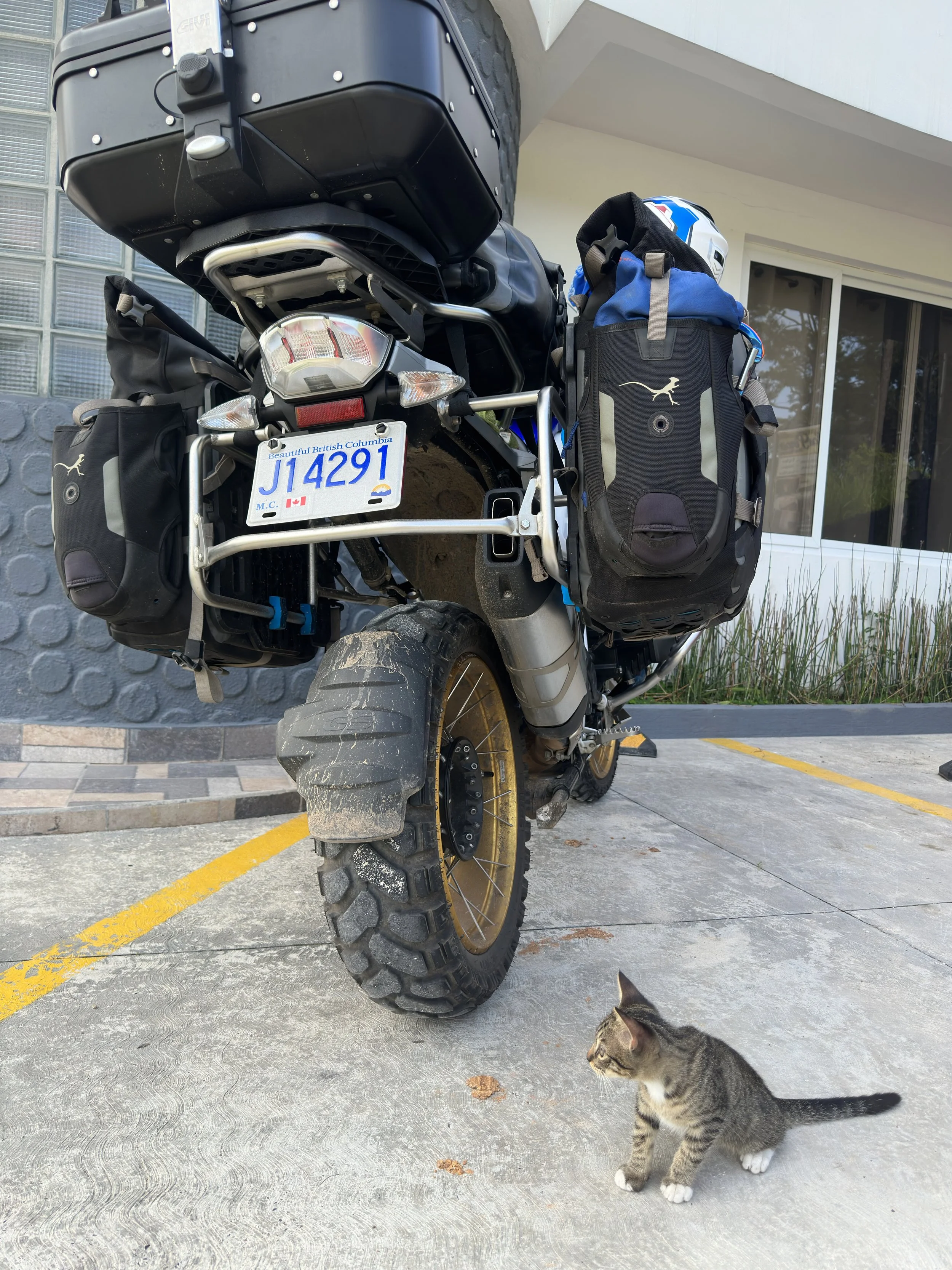 I think I have a pasenger