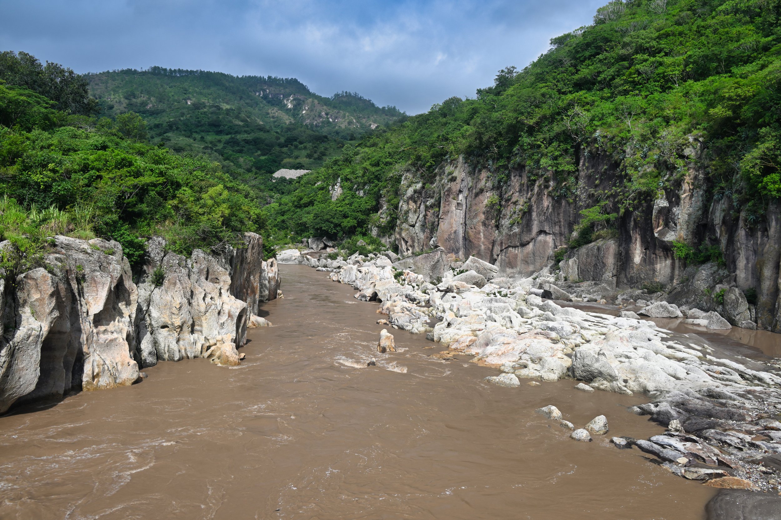 after last night's rain