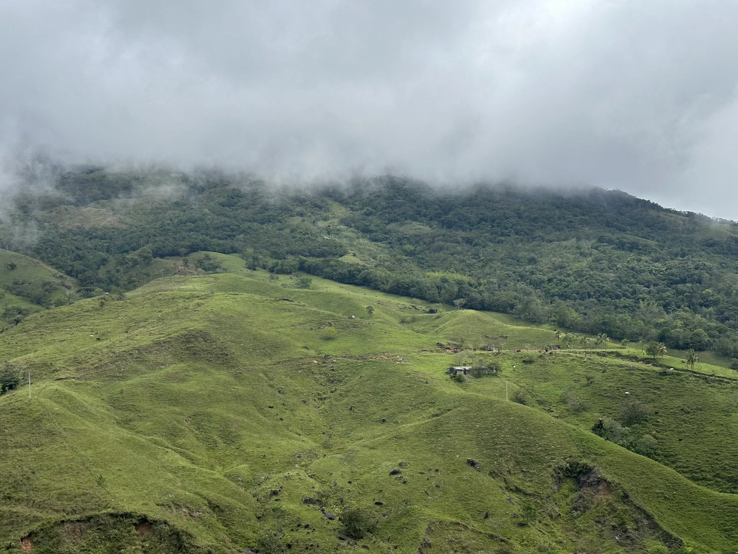 countryside here is very rich and green