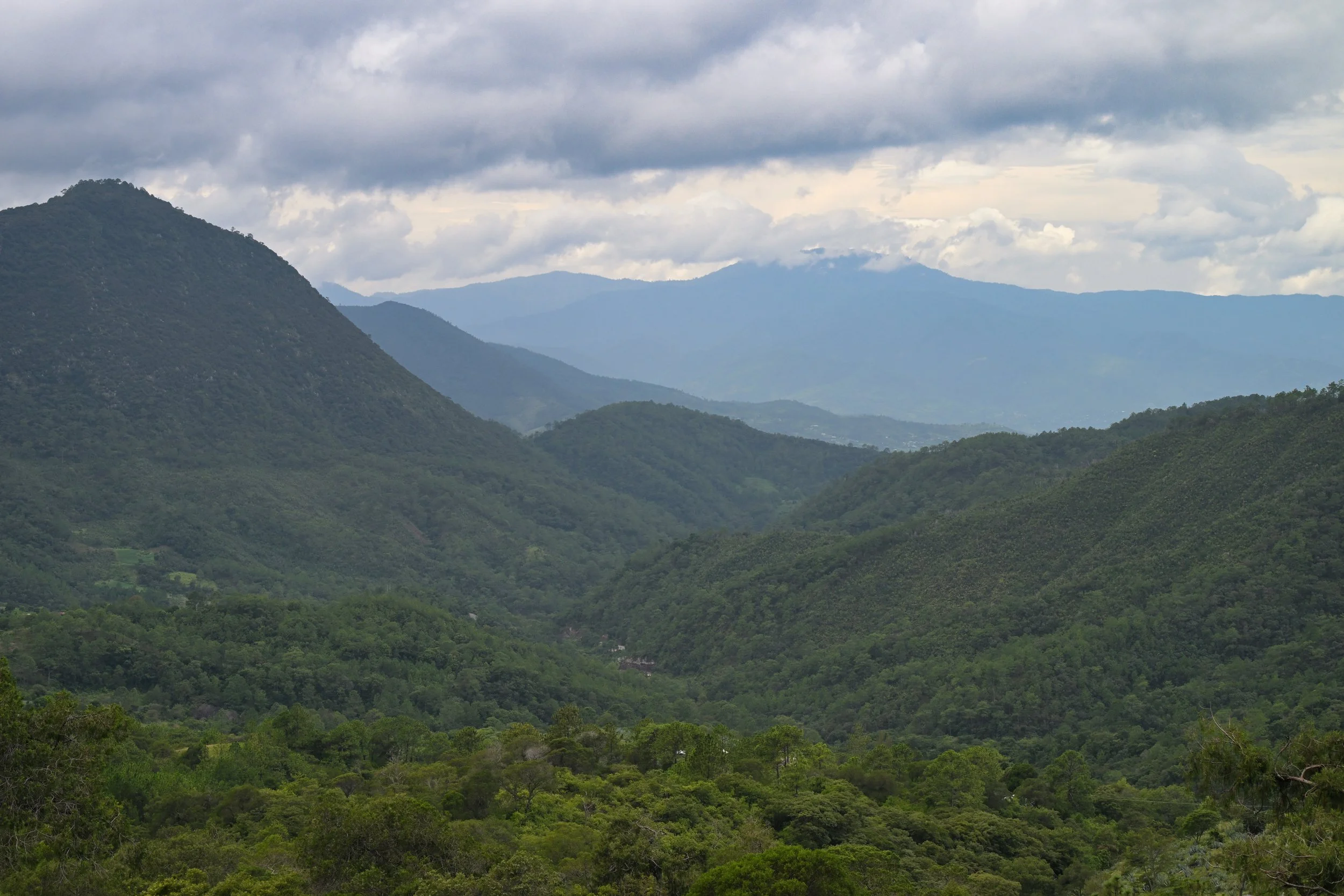 ridges, valleys and dense jungle