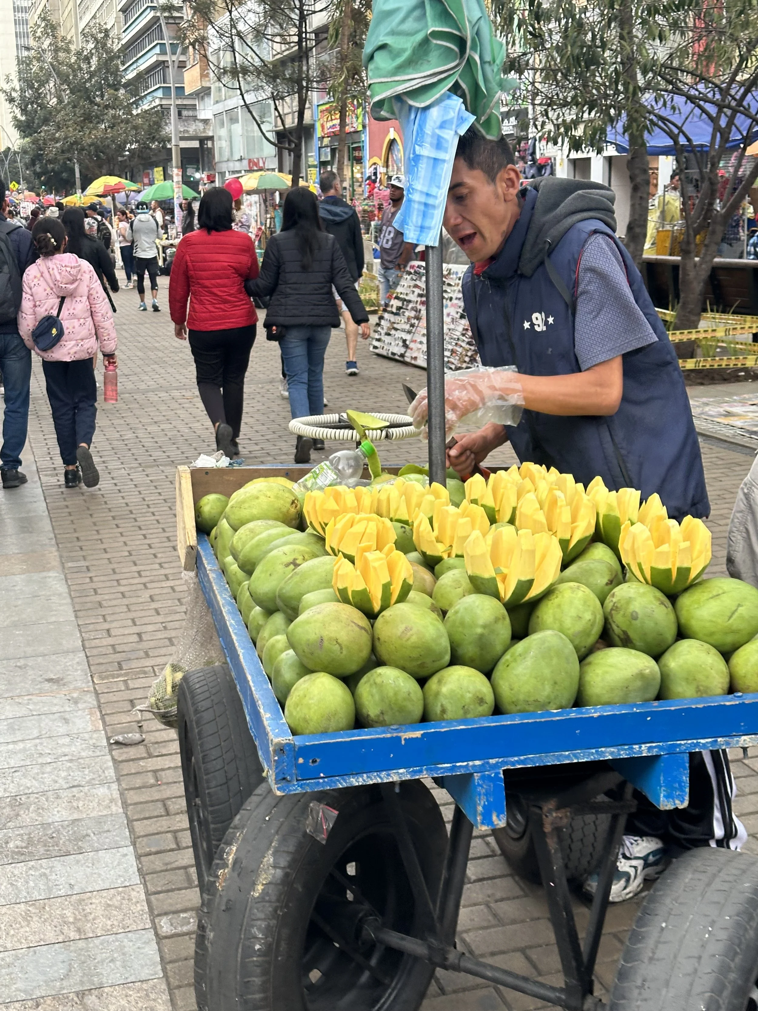 mango stand