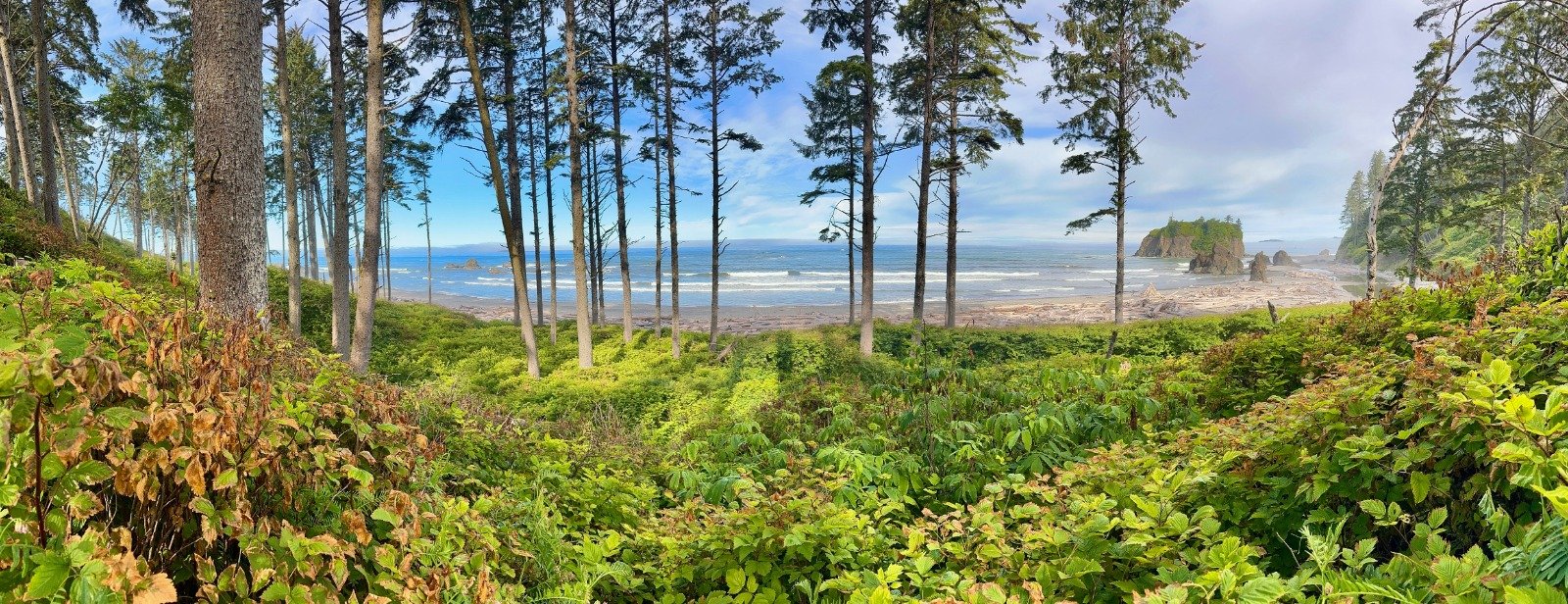 love this picture ❤️ Ruby Beach, WA