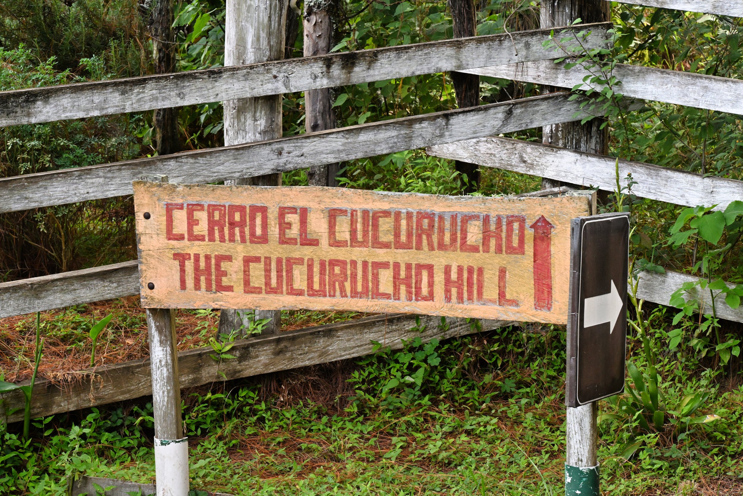 that's where Im am going