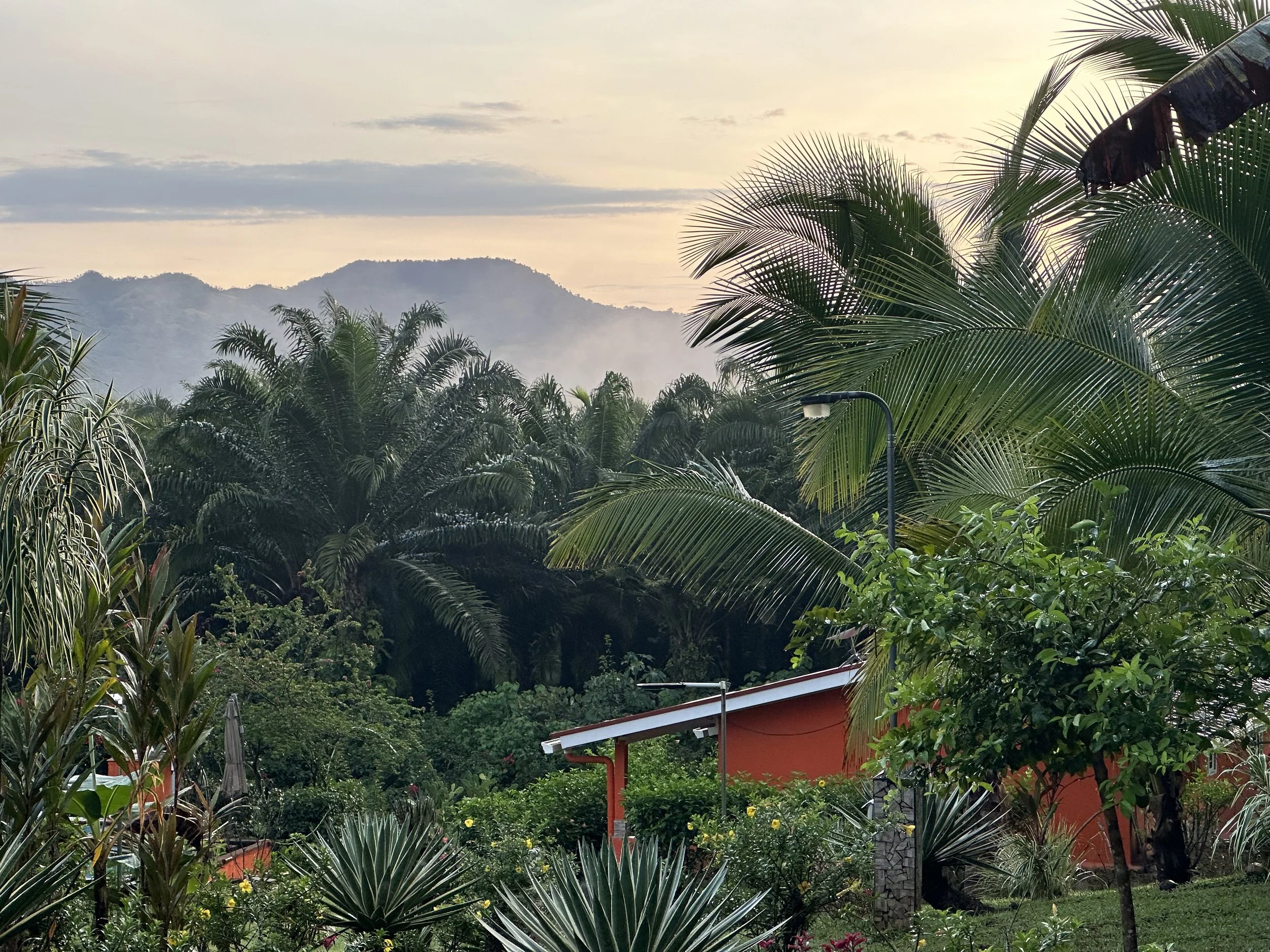 stunning morning at Los Lejas