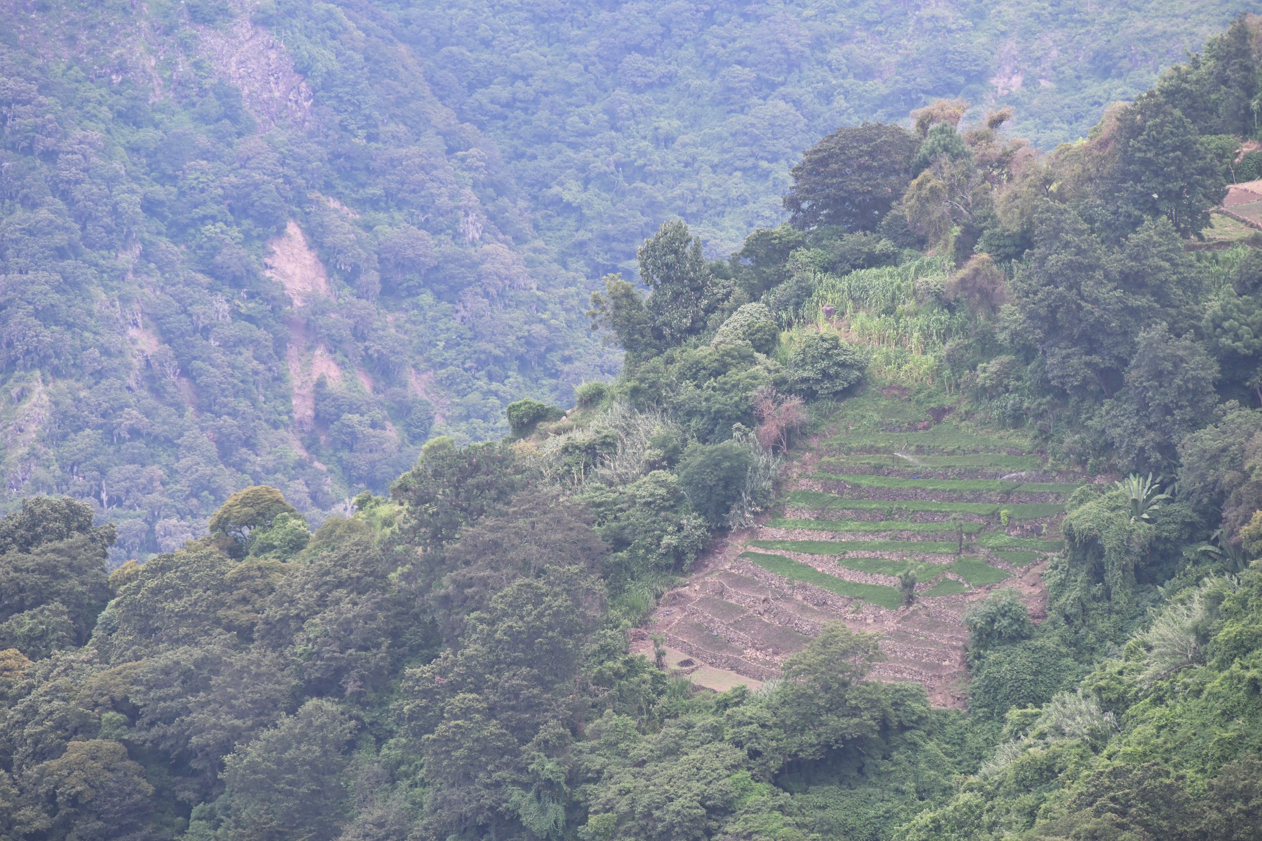 there is not a flat piece of land anywhere here