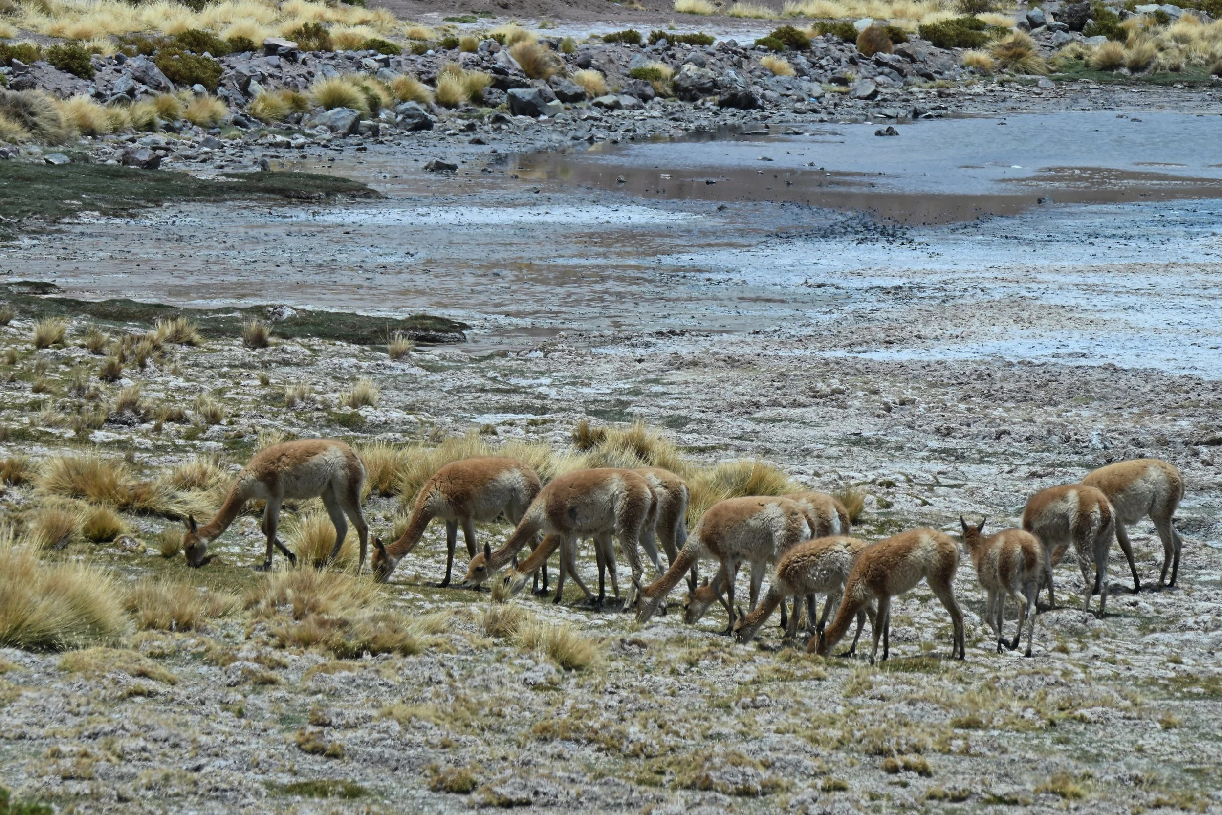 her buddies are busy having lunch