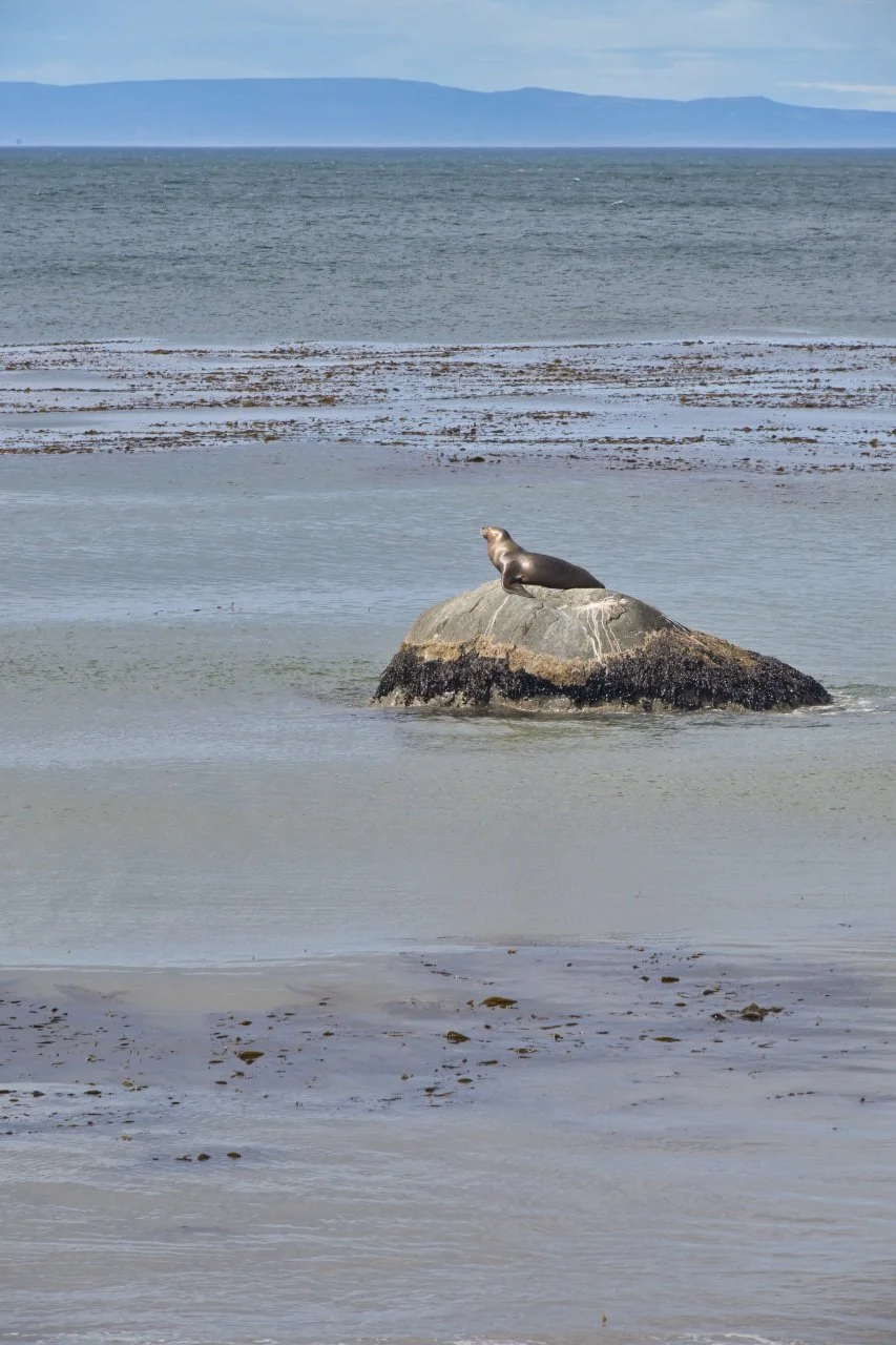  everybody loves sunshine