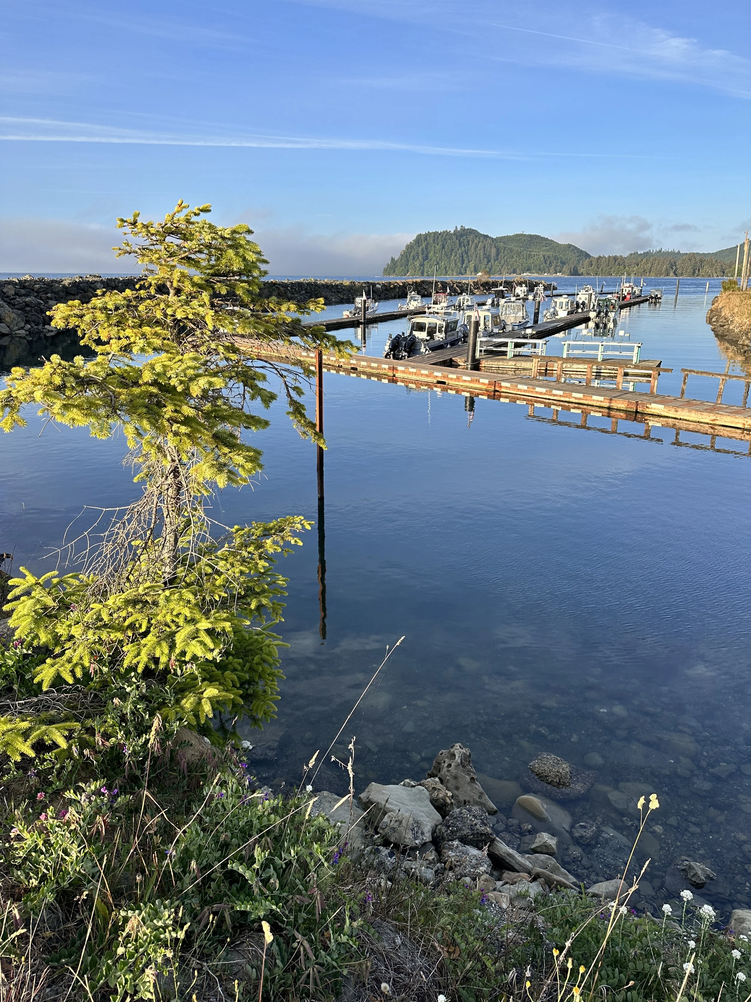fishing port at Sekiu, WA