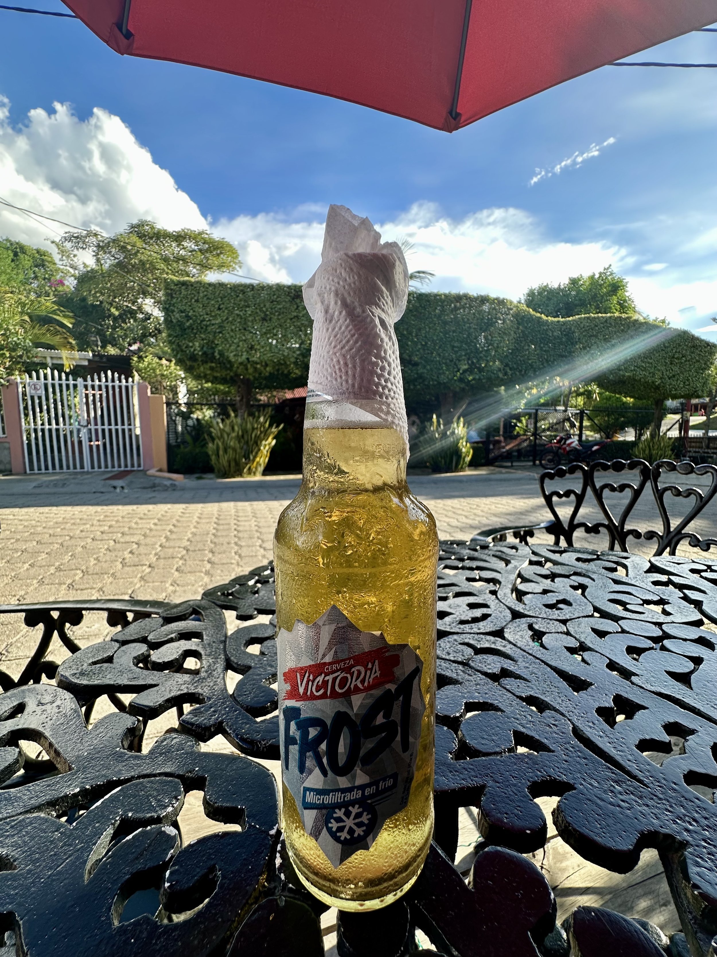 beer tasts really good today