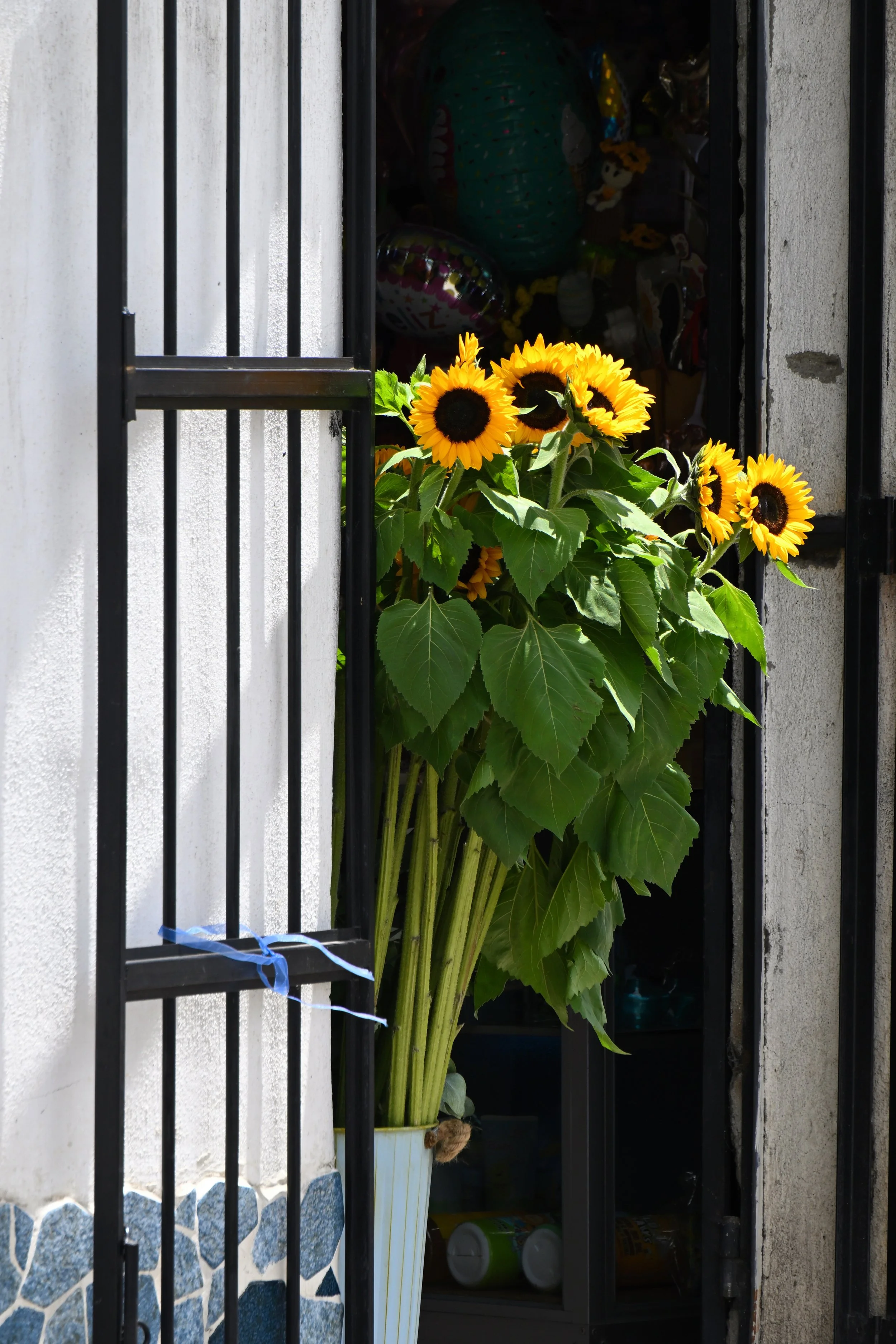 I thought these are fake but no, they are very real