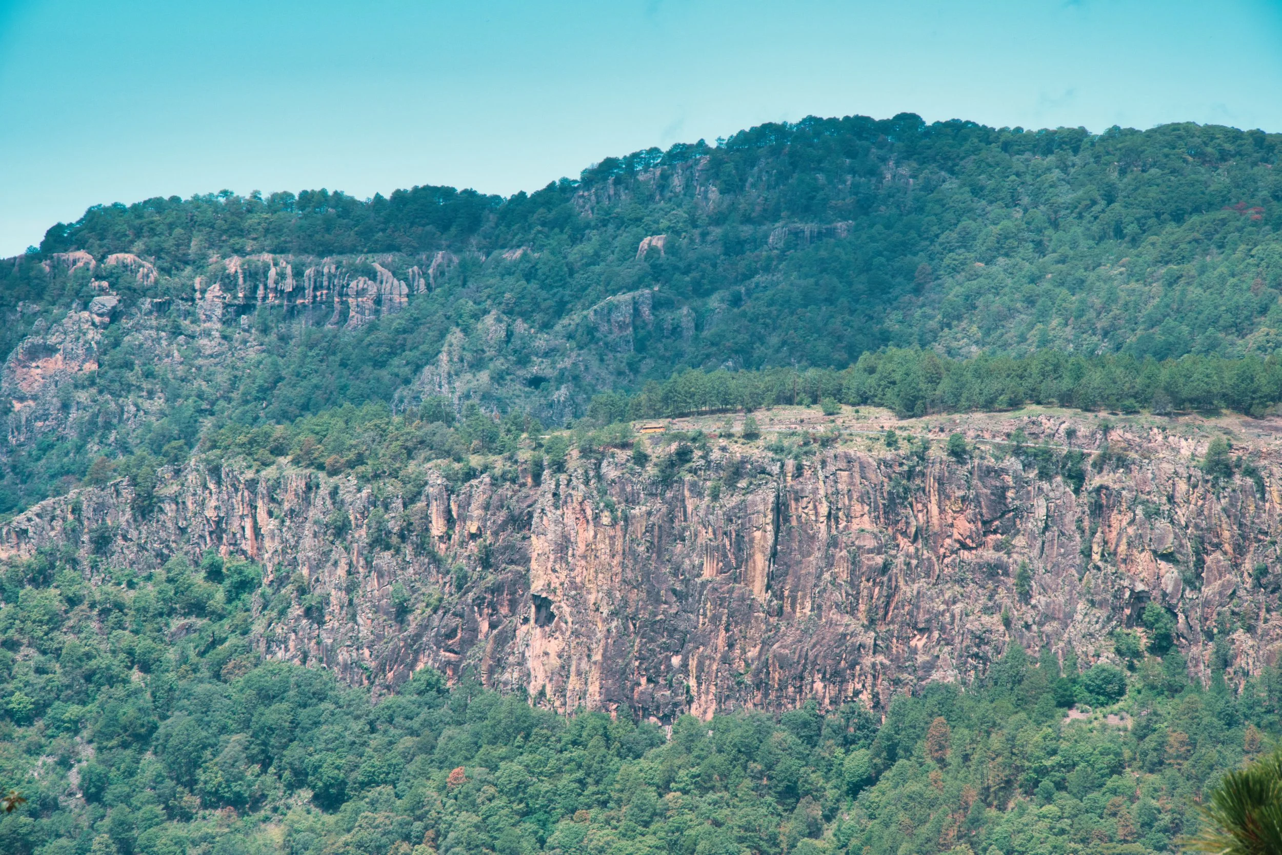 do you see the school bus on the other side?