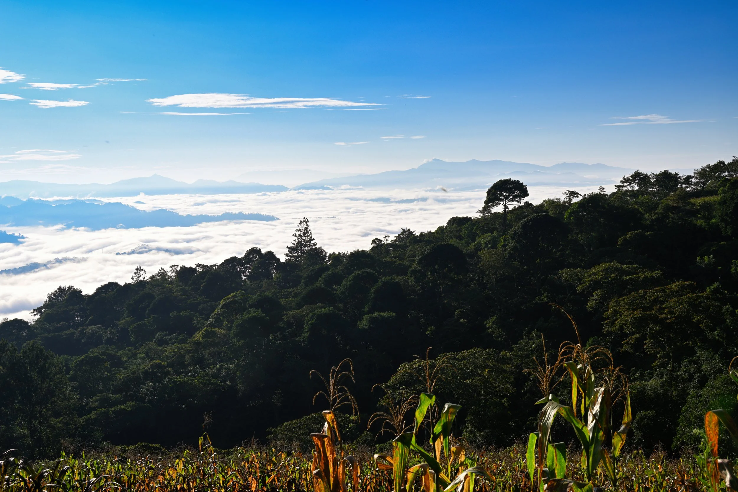 I love the views like this