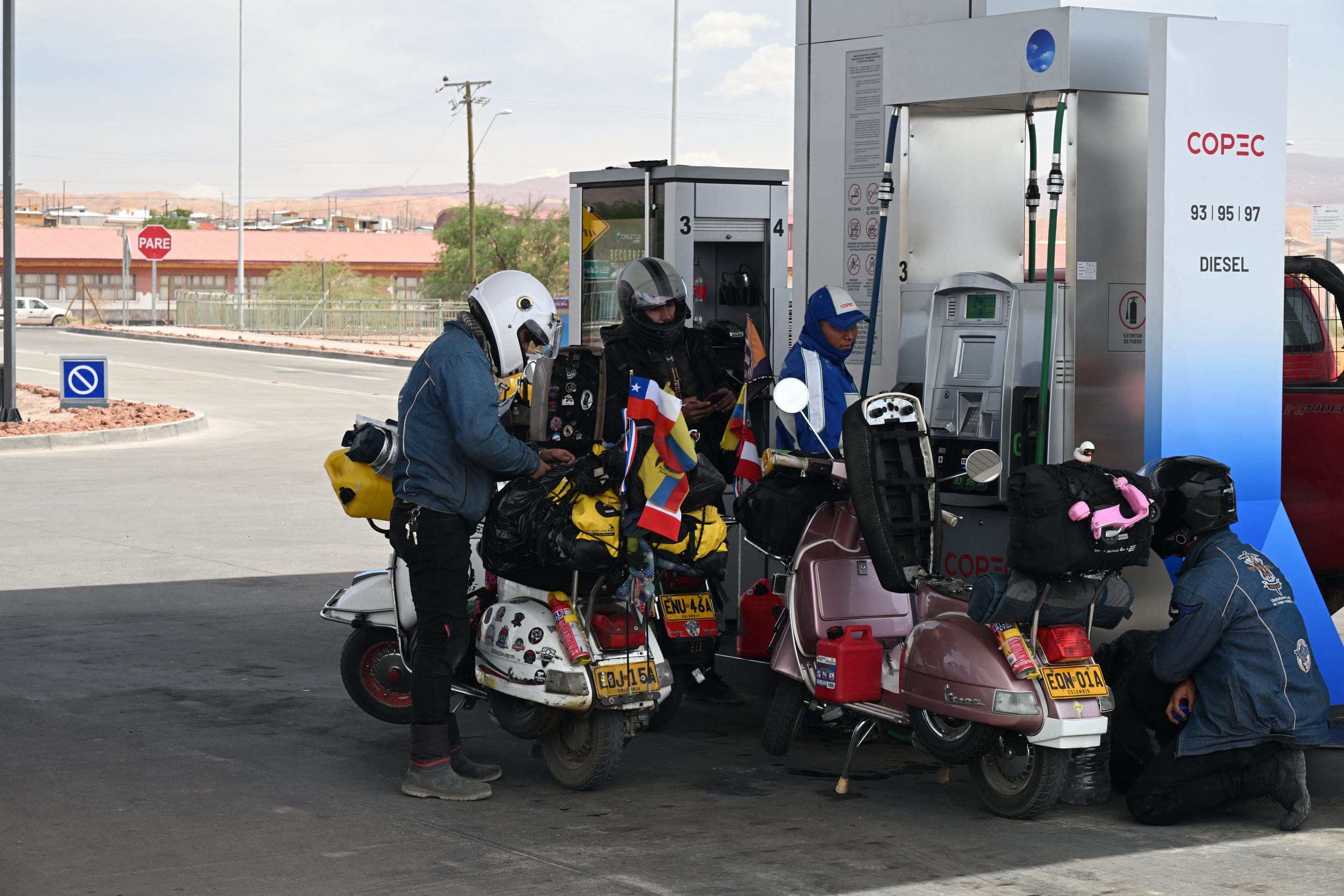 Here they are, you don't wanna go near them