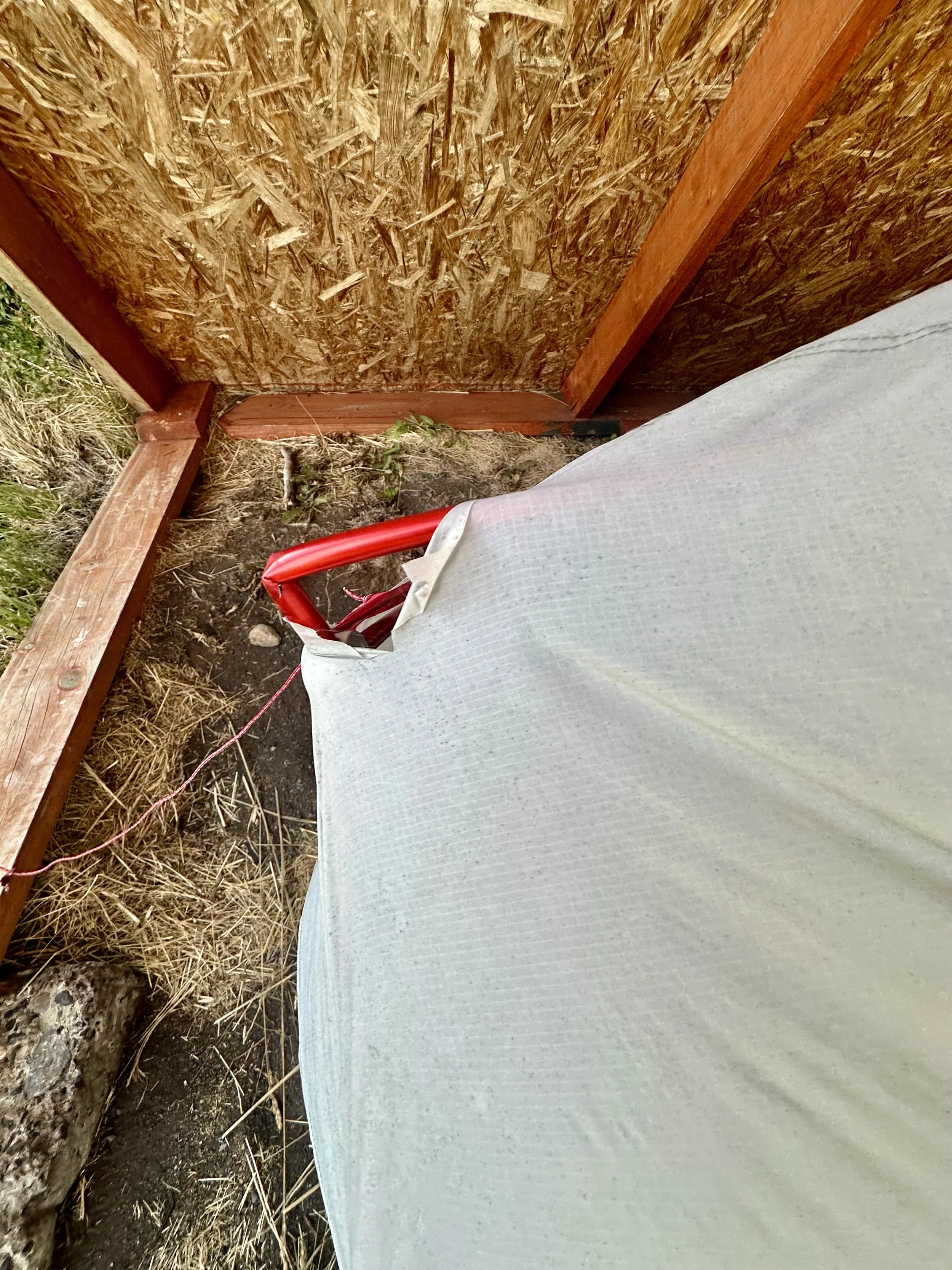  this doesn't look too healthy