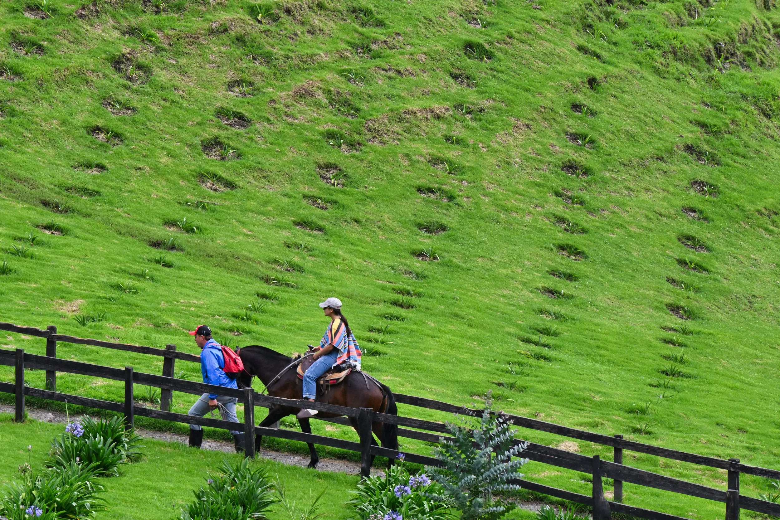 tourists are getting pulled up the hill ...