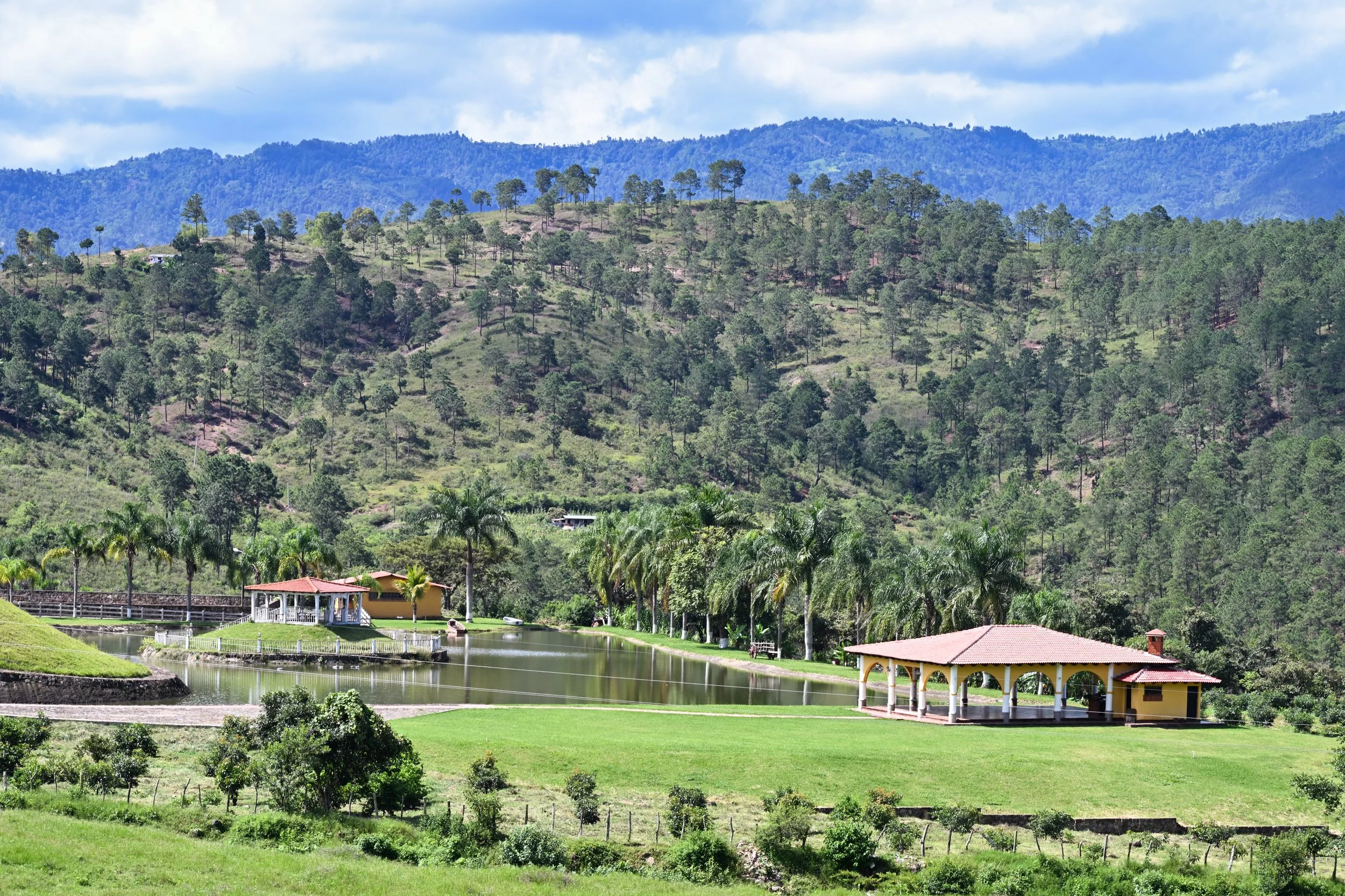 somebody is living well ...