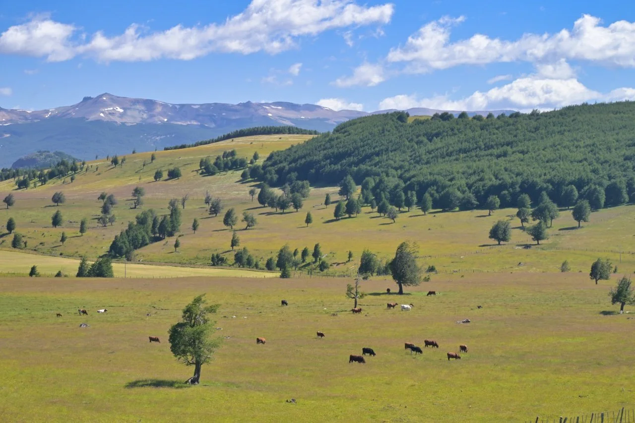  europe? Nope, it is Patagonia.