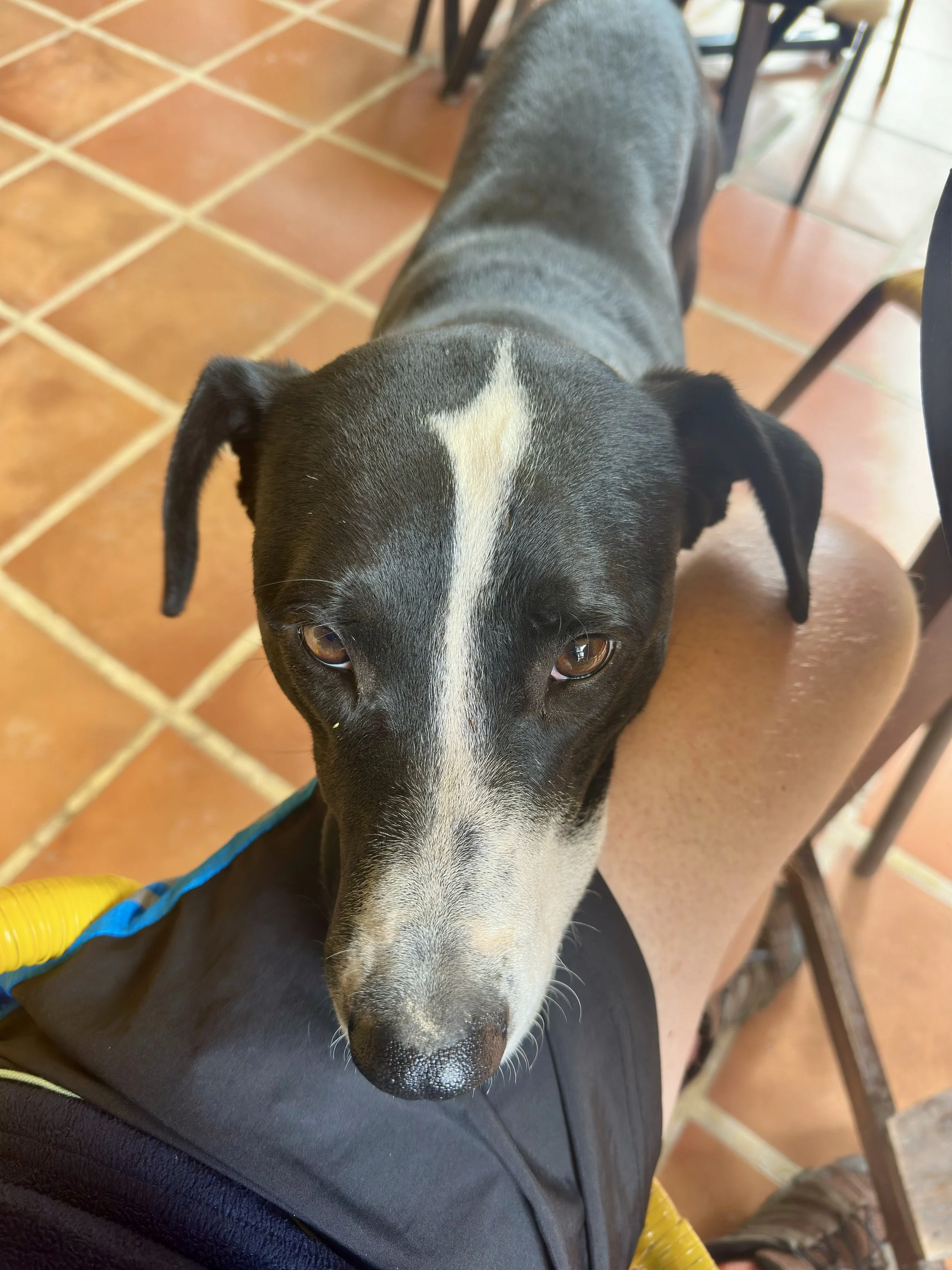 another friend found me