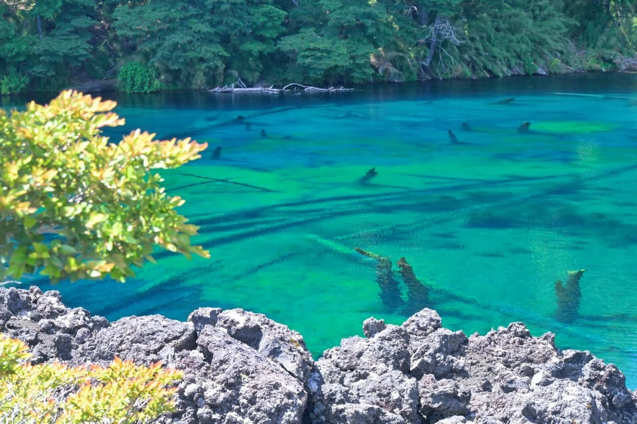  I couldn't get enough of the lake.