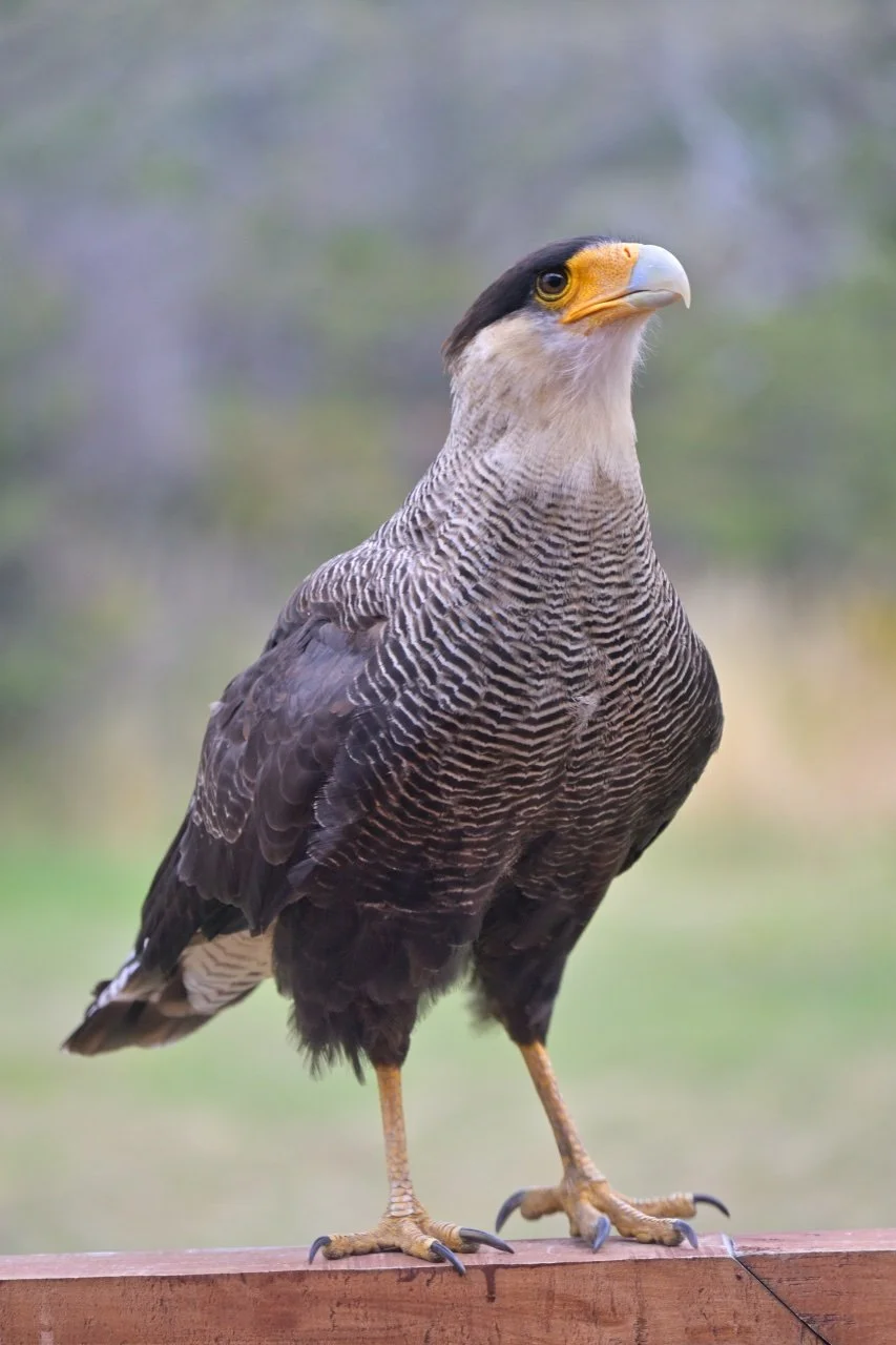  I forgot what is it called?