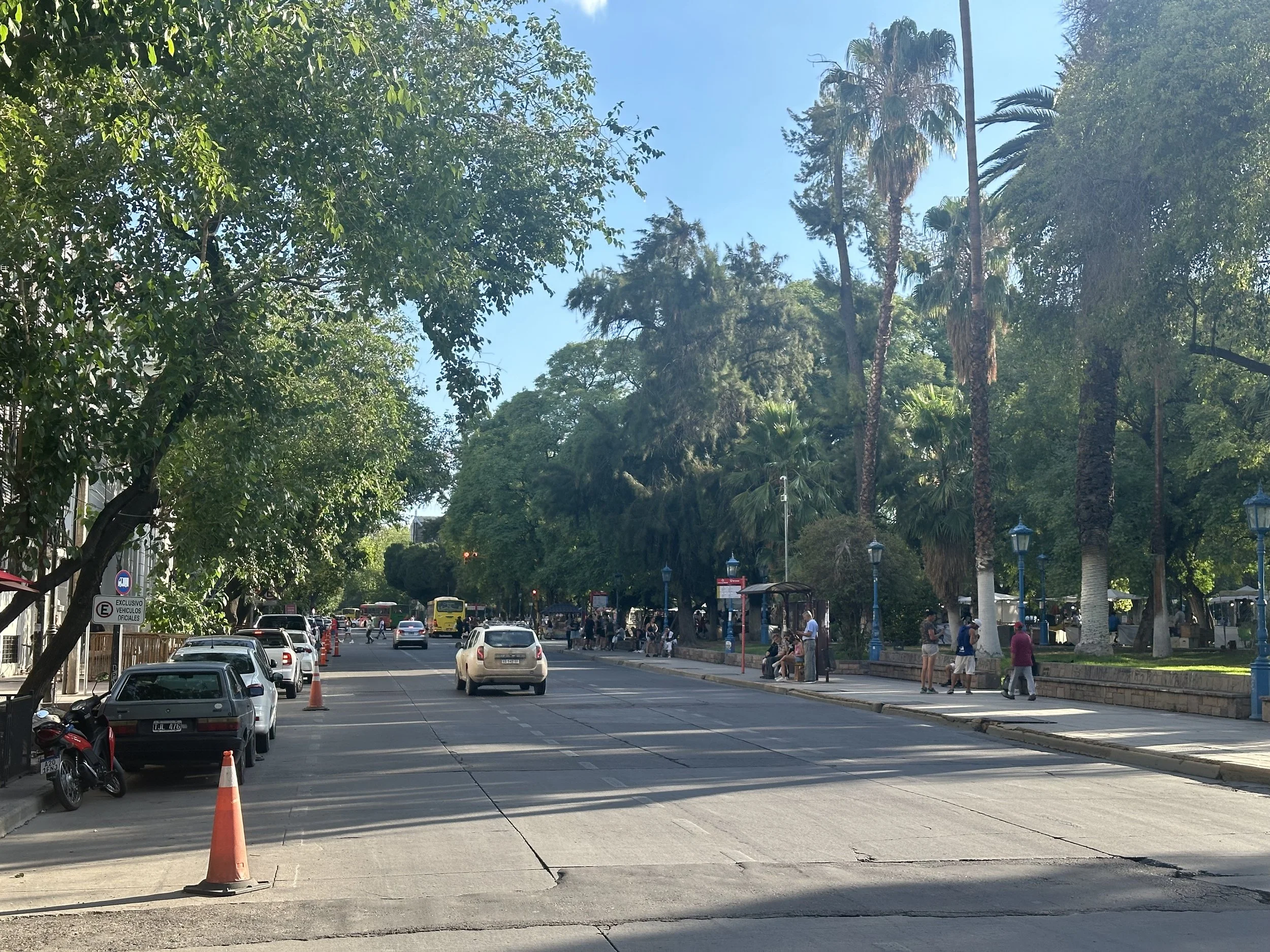 most of the streets here are lined up with big trees