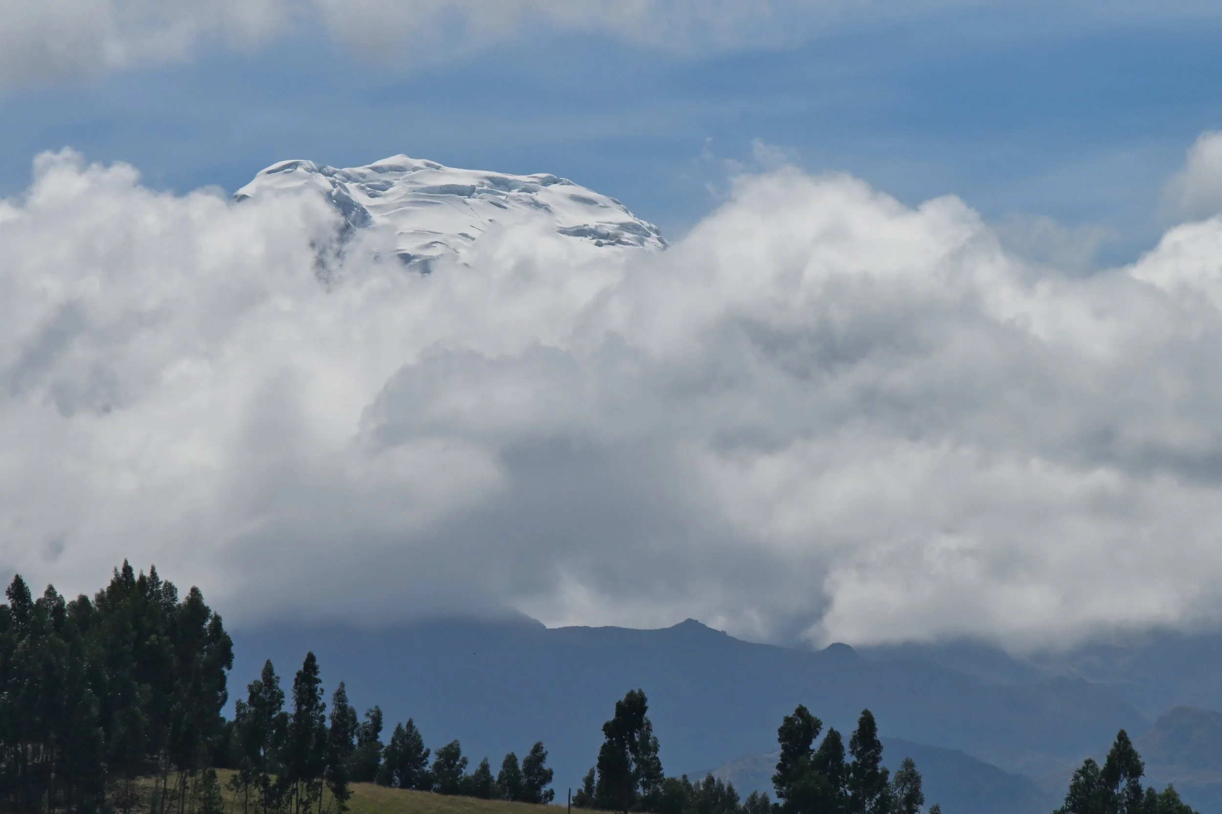 5' into today's ride and 20km from the Equator I see this 😳 It is like being home and looking out of my window 🤯