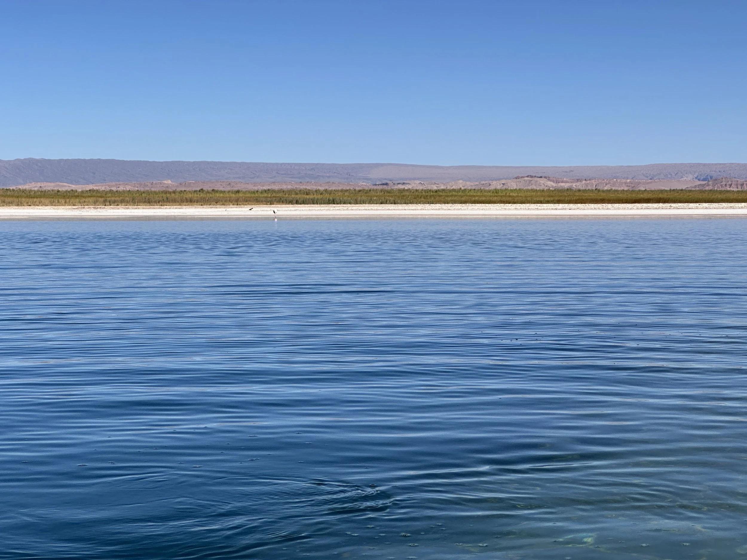  The lagoon is still there waiting for us