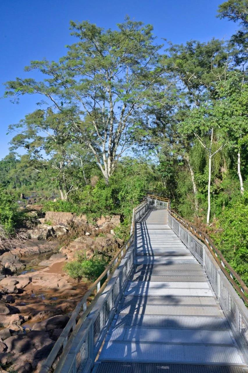 Almost all the paths are elevated walkways