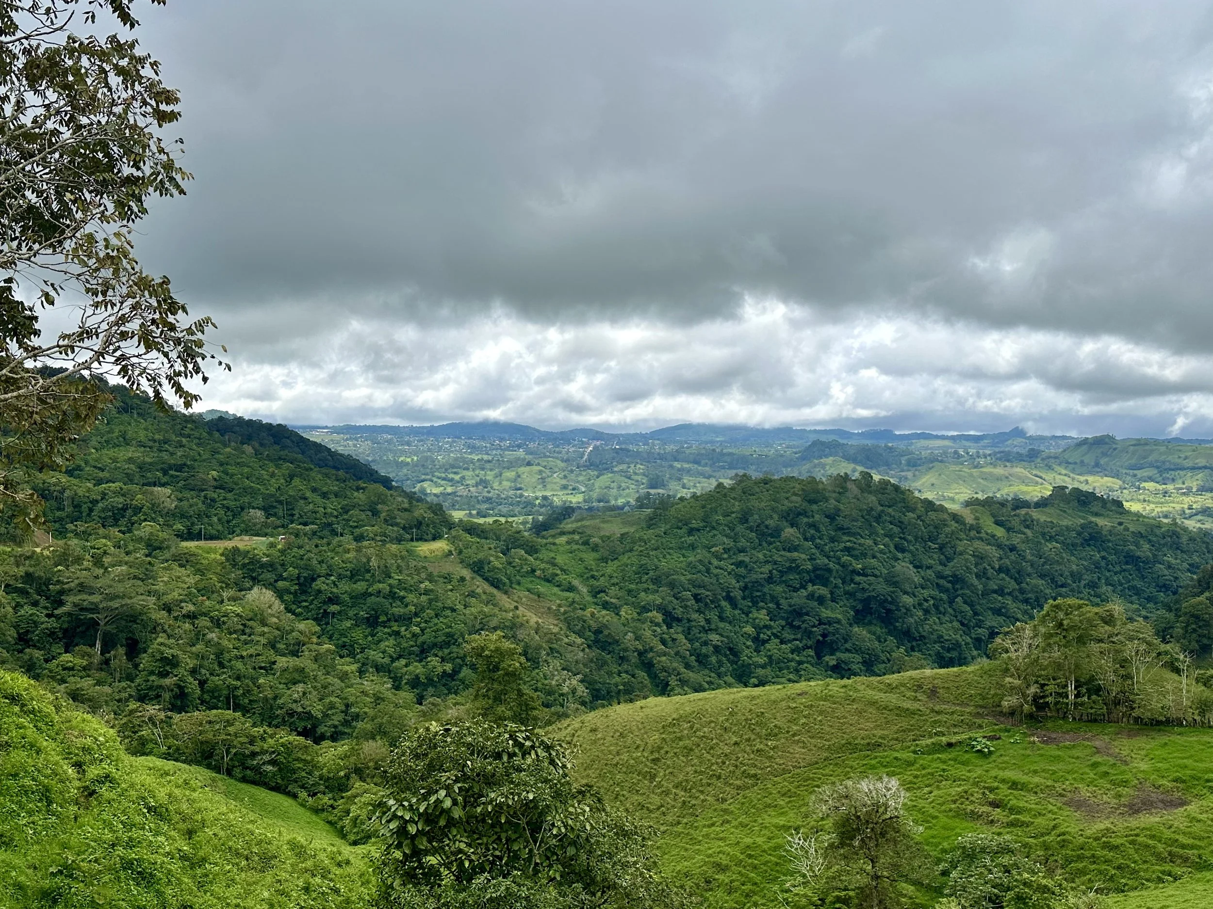 hills and farmland