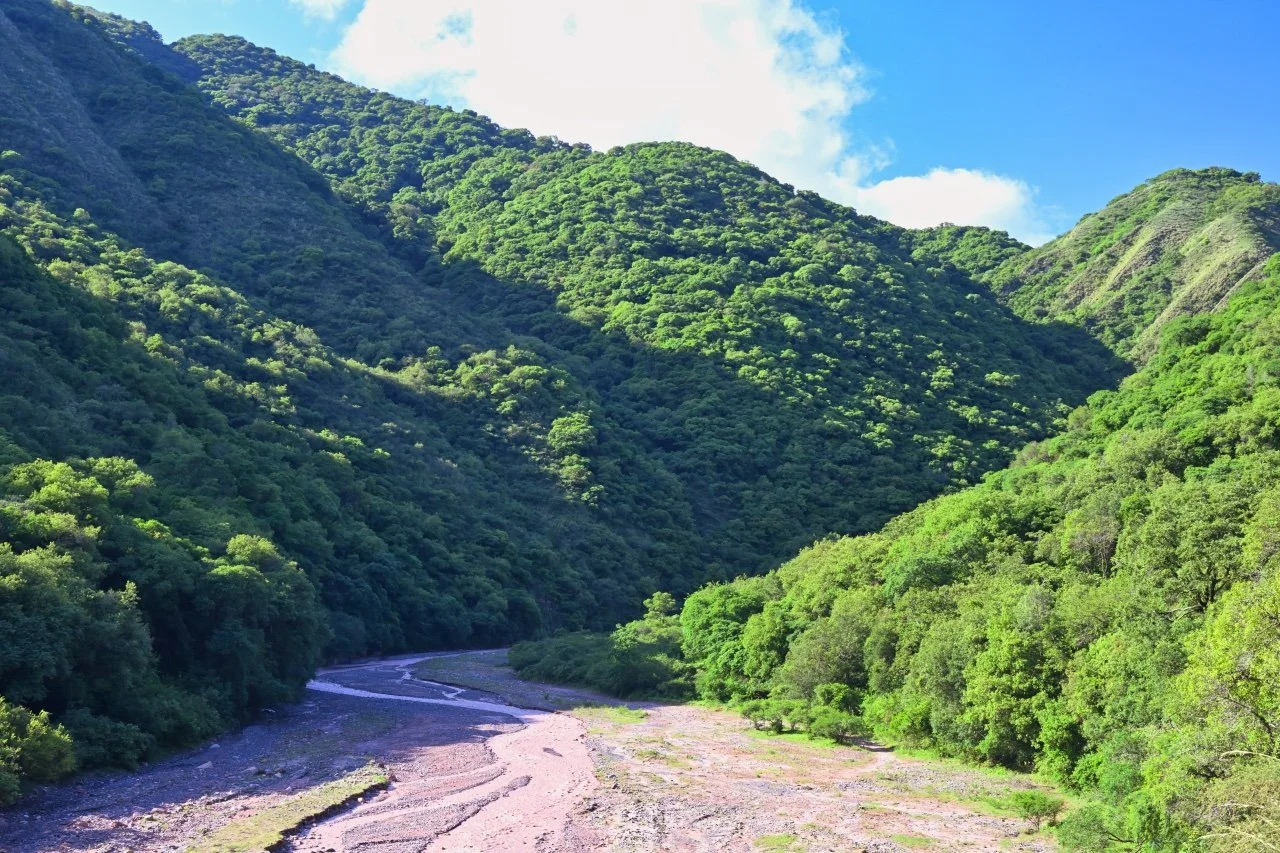 Can't get enough those nice colours