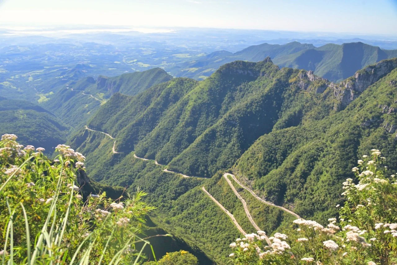  and this is the view