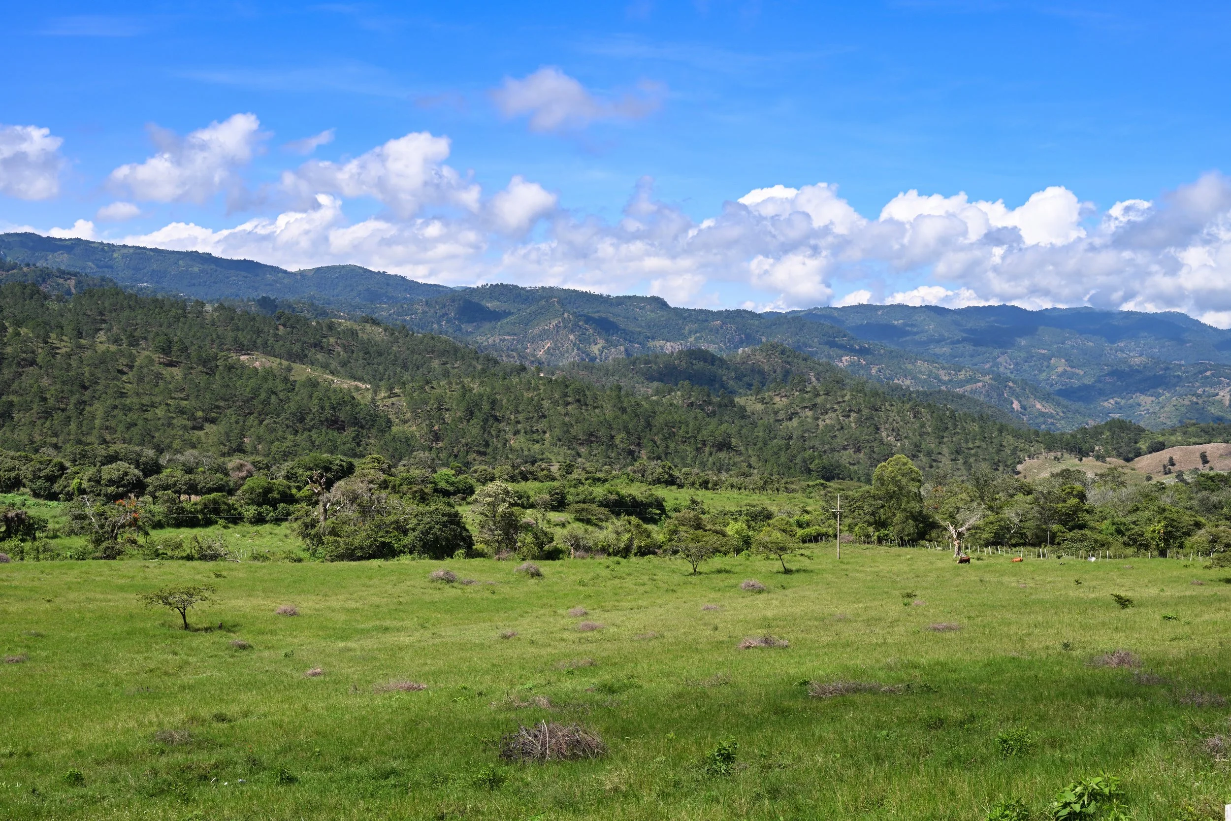 could be Kooteneys ...