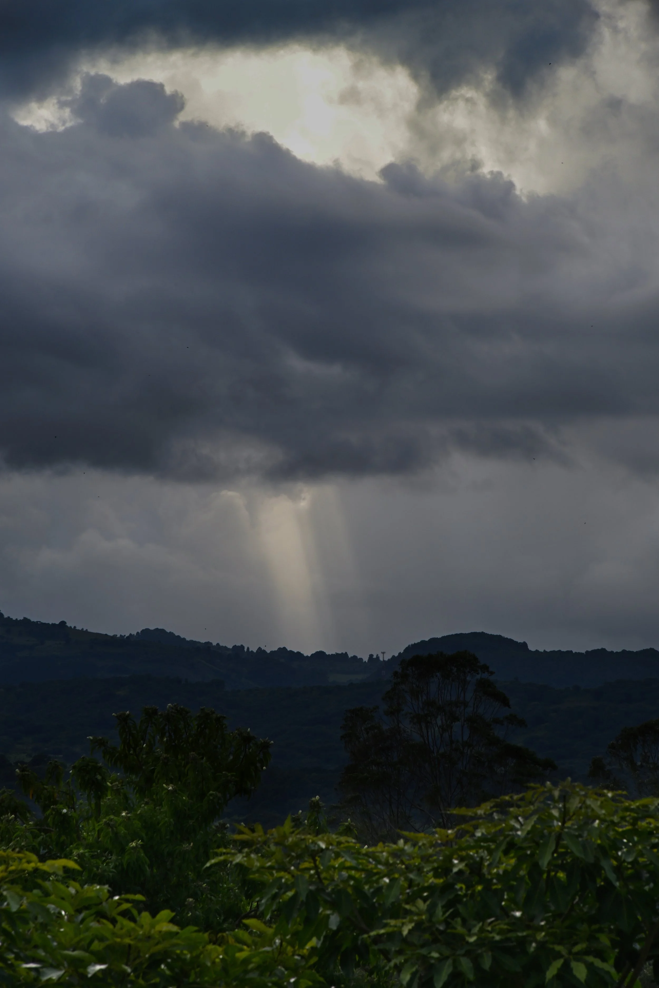 we are gonna get it, again