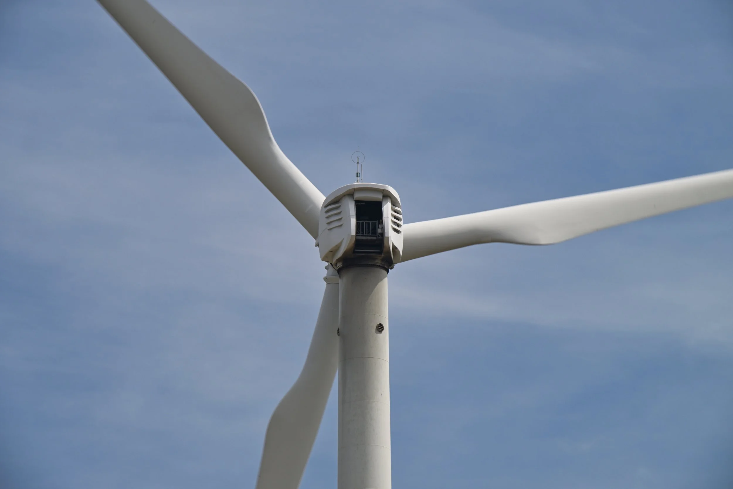 these things are huge