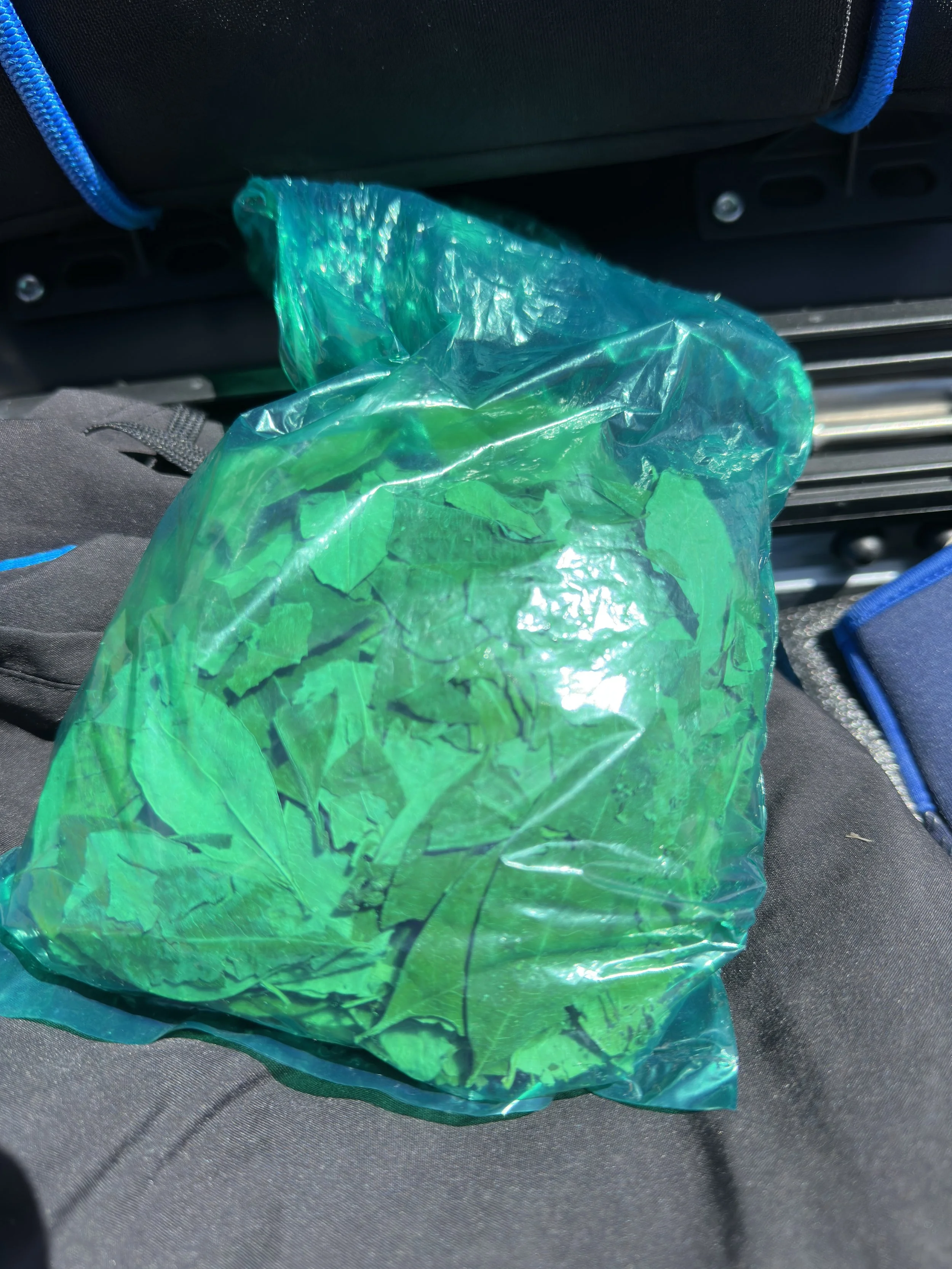 altitude supplements