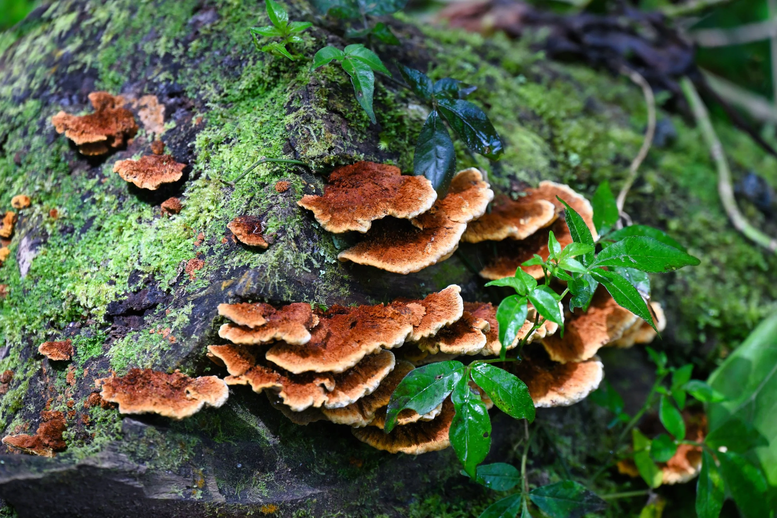 this one is for Larry ... 🤭