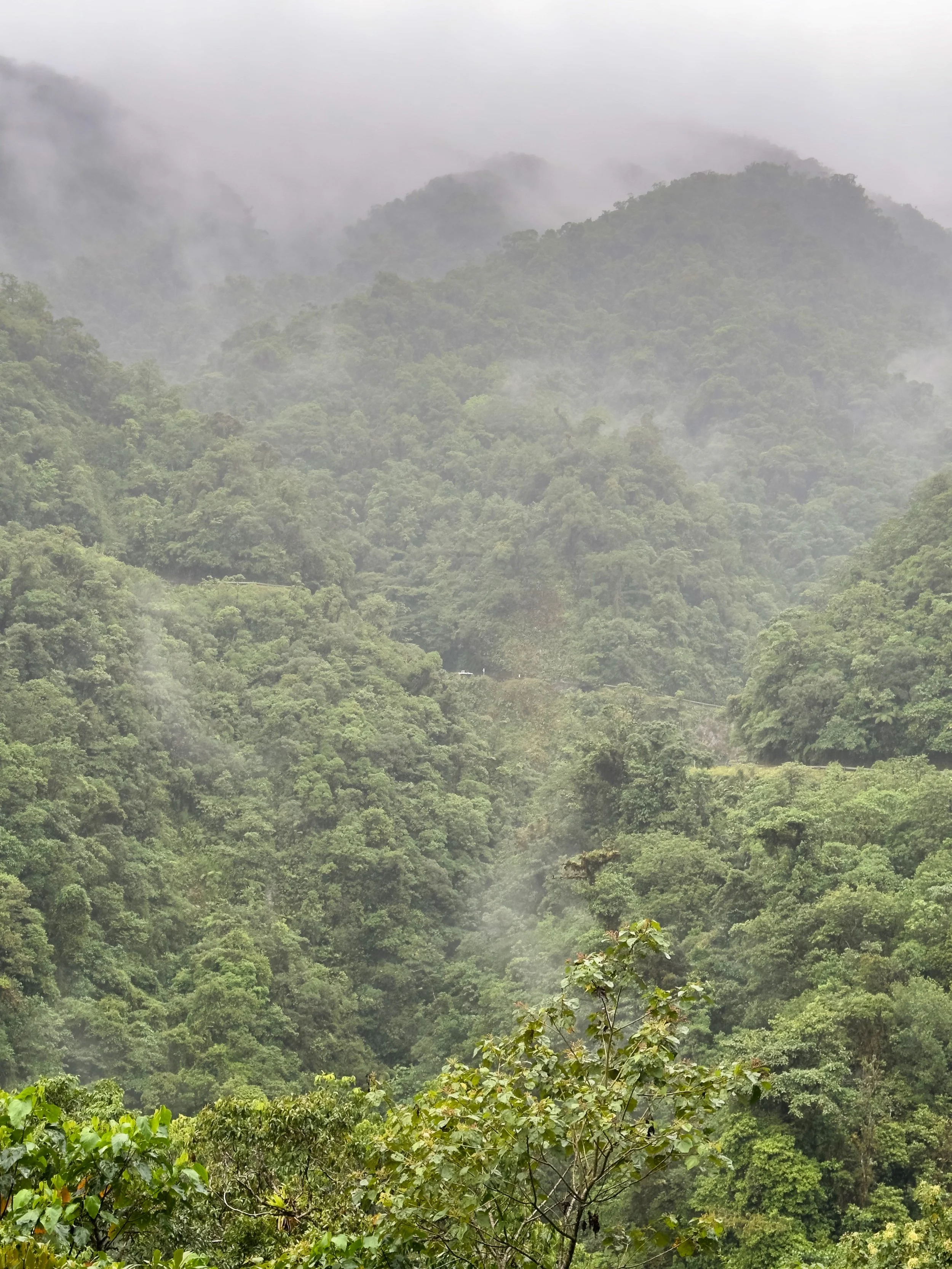 this is as think as it can be