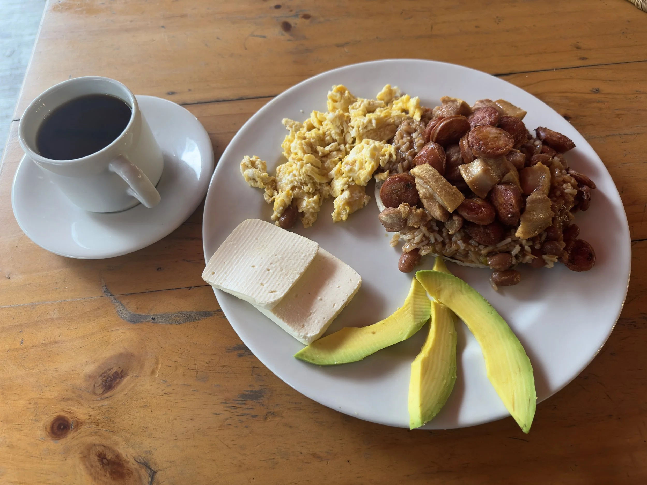 this is a huge meal!