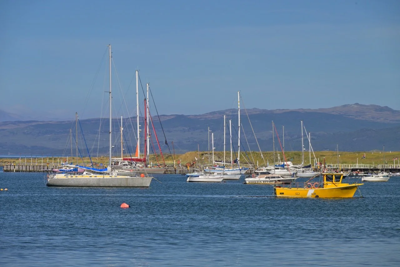  sailboats in the bay