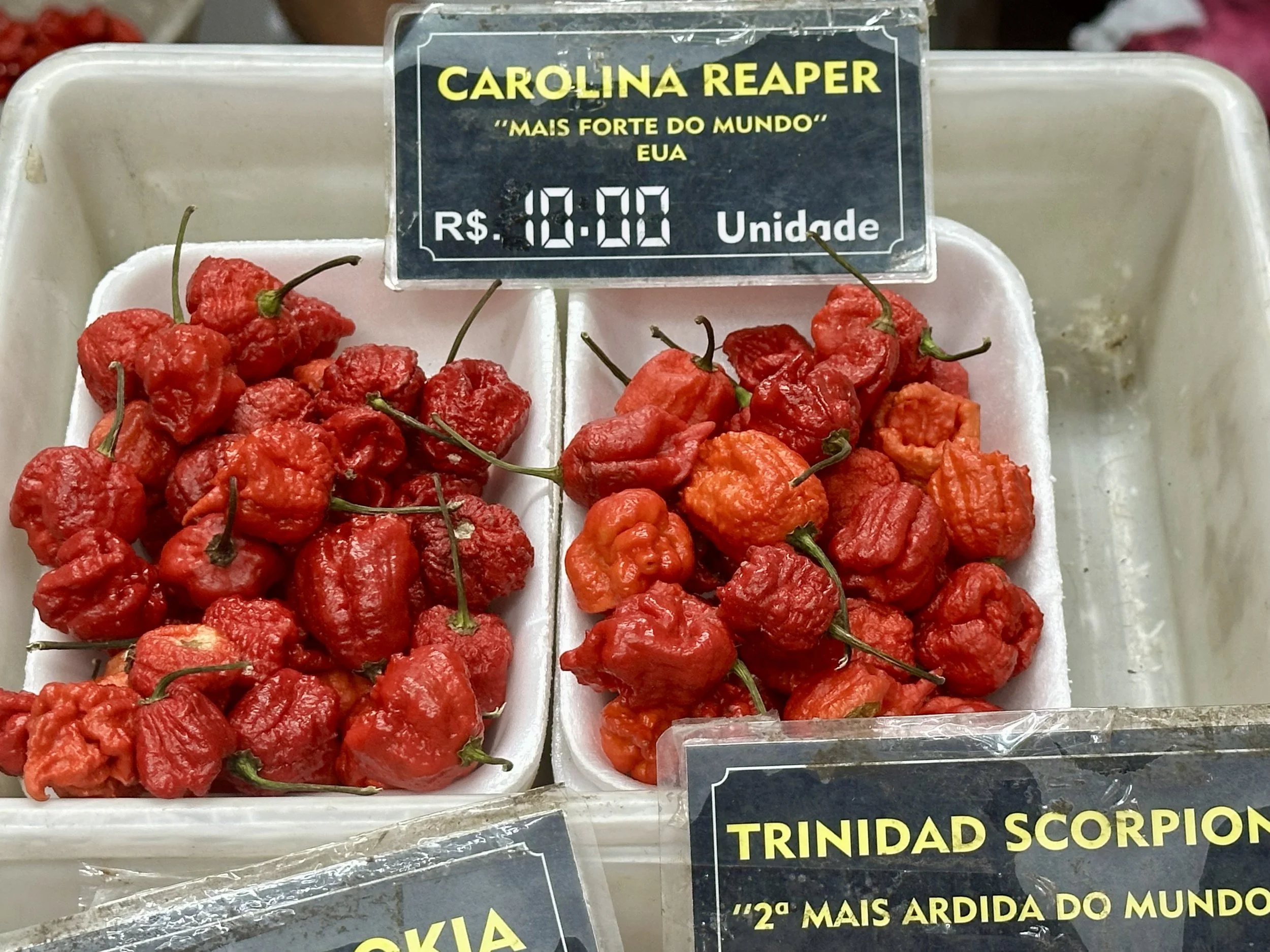  the spiciest peppers in the world