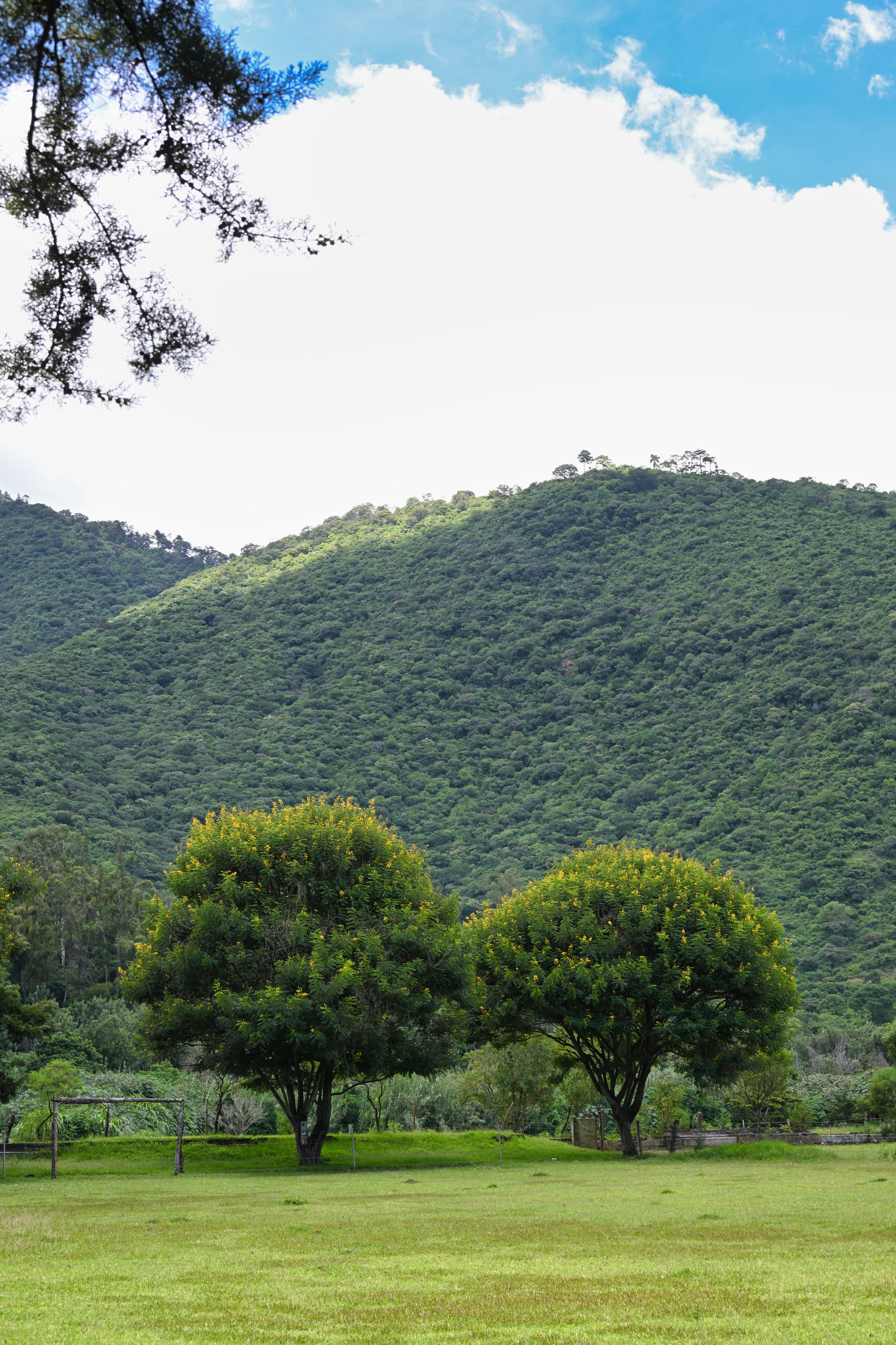 very peaceful setting